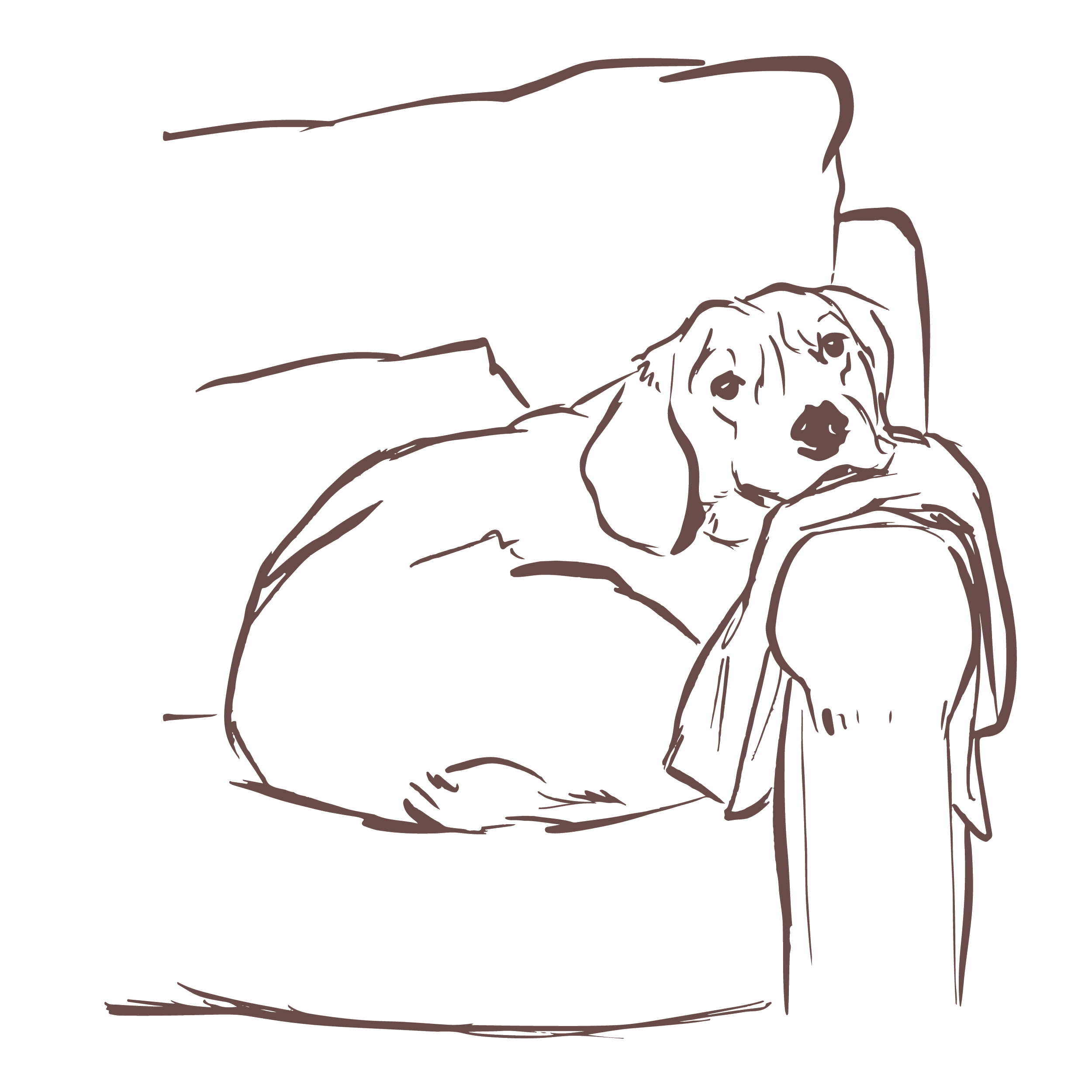 Line drawing of a dog lying on a bed, looking at a person standing nearby.