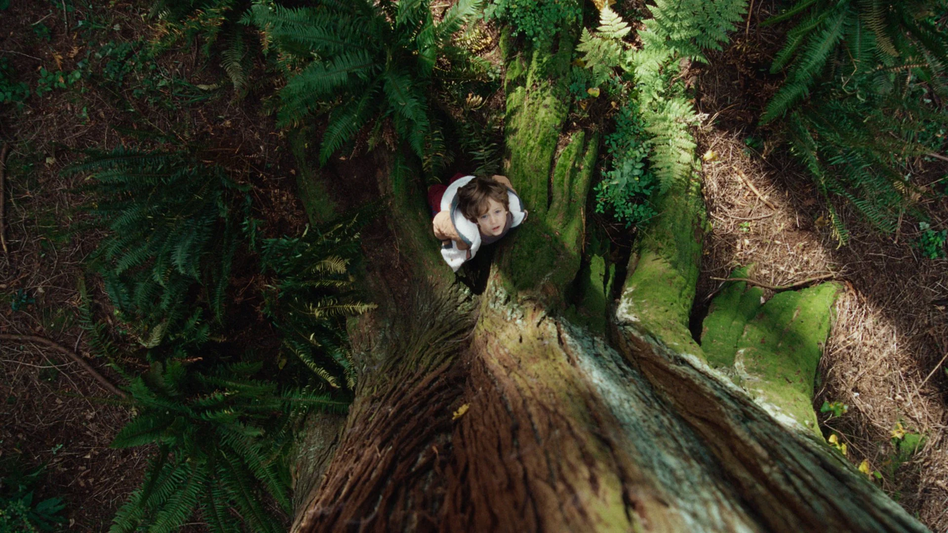 A Small Car for Big Experiences