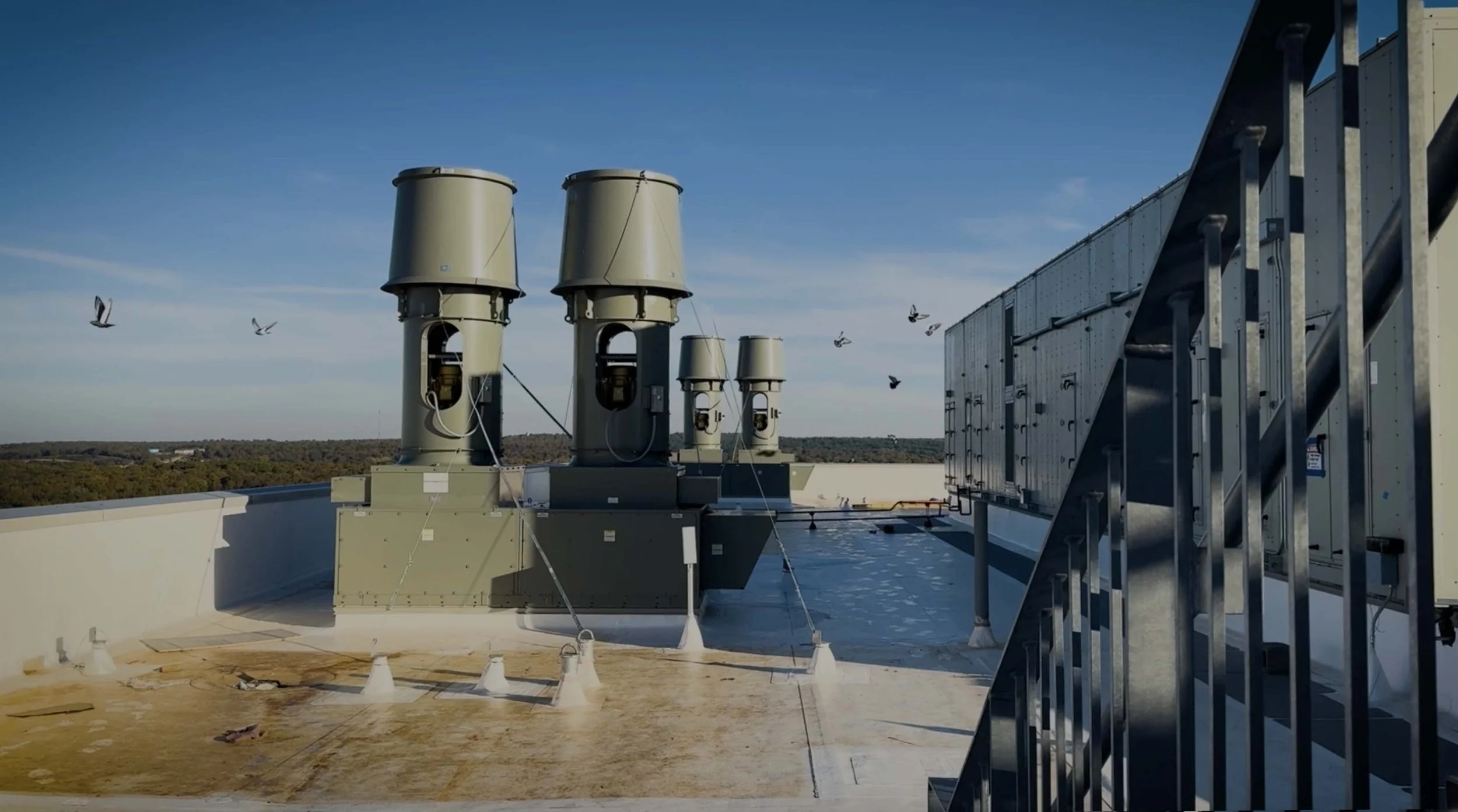 MARQUE_BACKUP copy.jpg