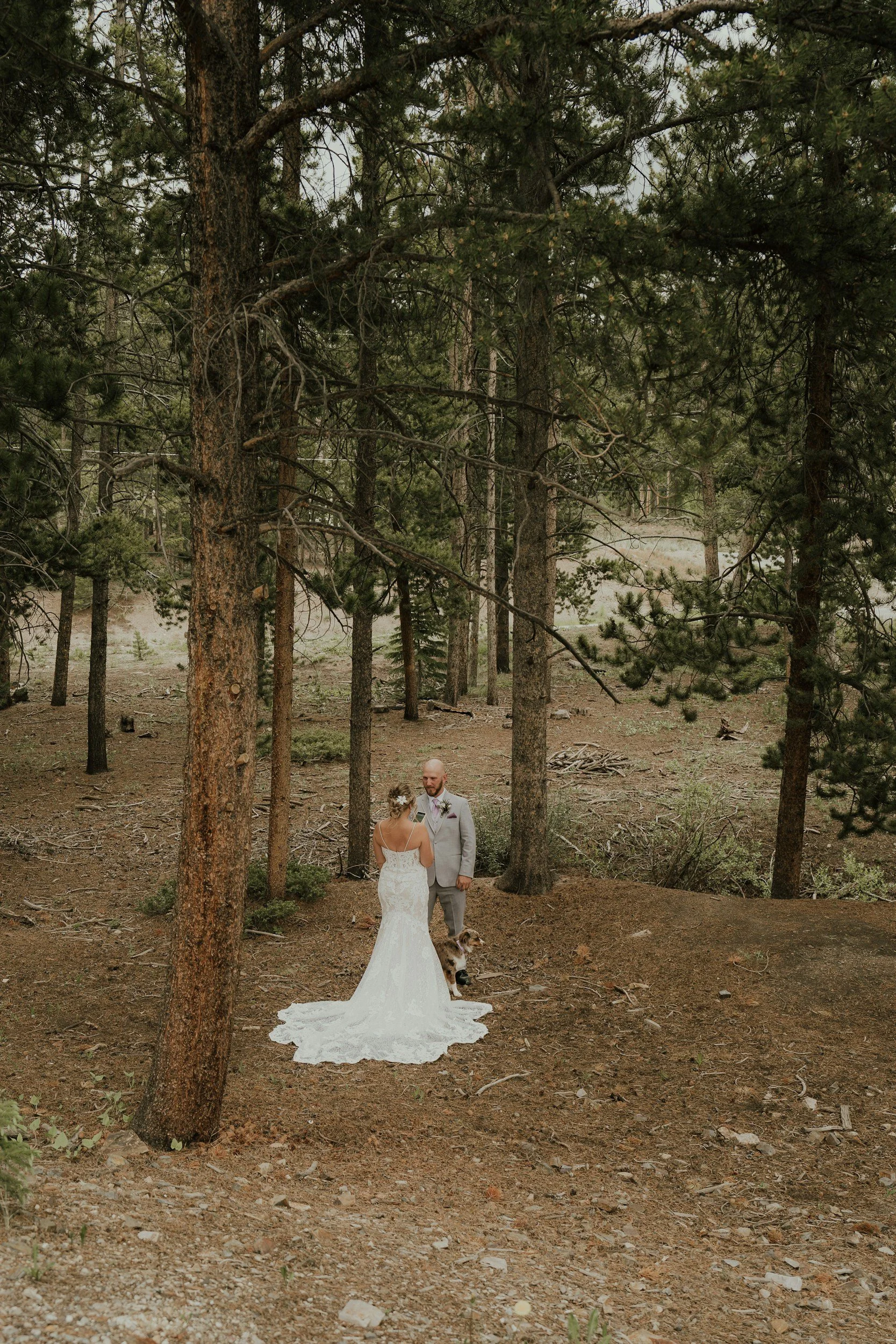 A bride in a white wedding dress and a groom in a gray suit standing in a forest with tall trees, a dog sitting near them, during sunset or late afternoon.