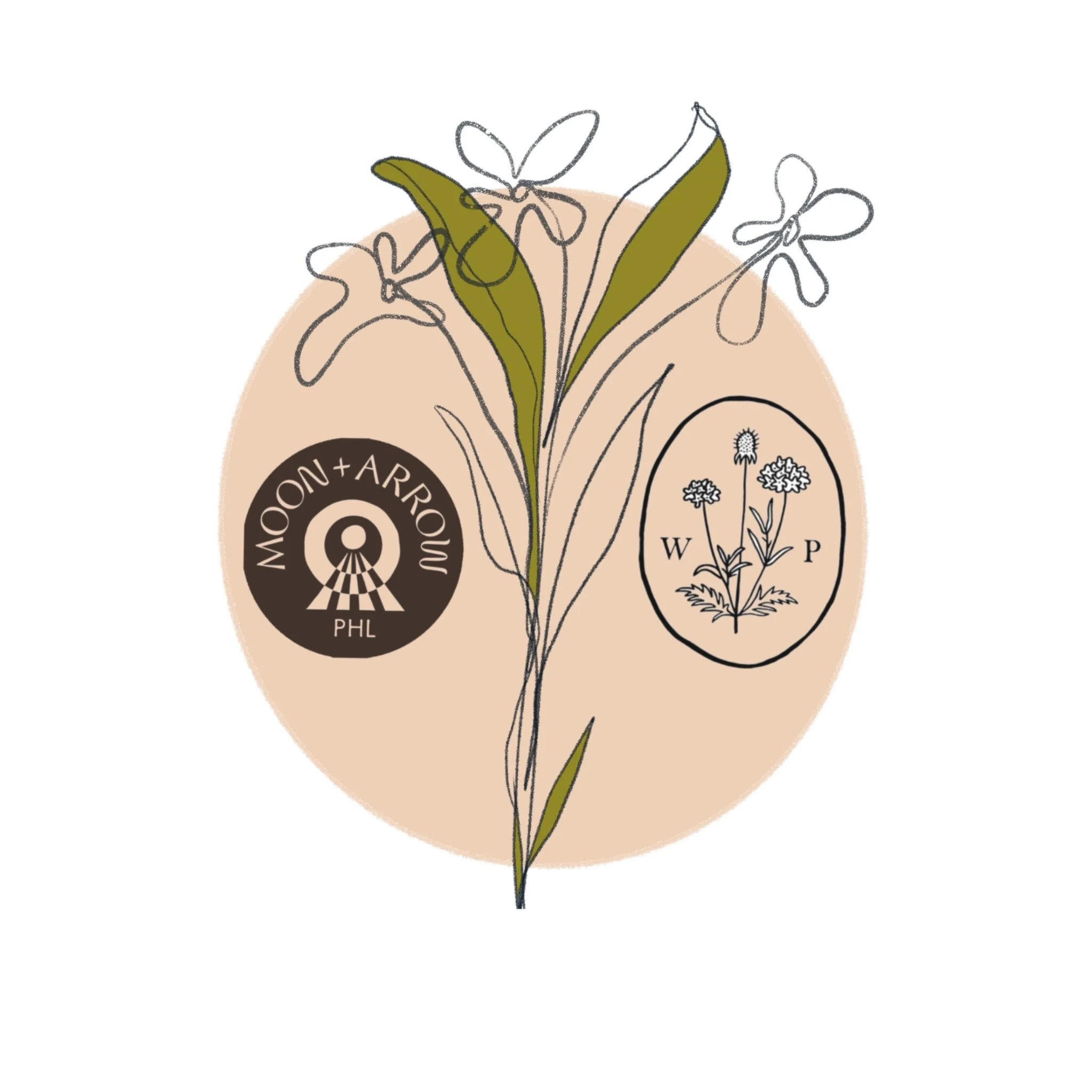 A botanical illustration featuring a plant with green leaves and small flowers, surrounded by scientific symbols and diagrams.