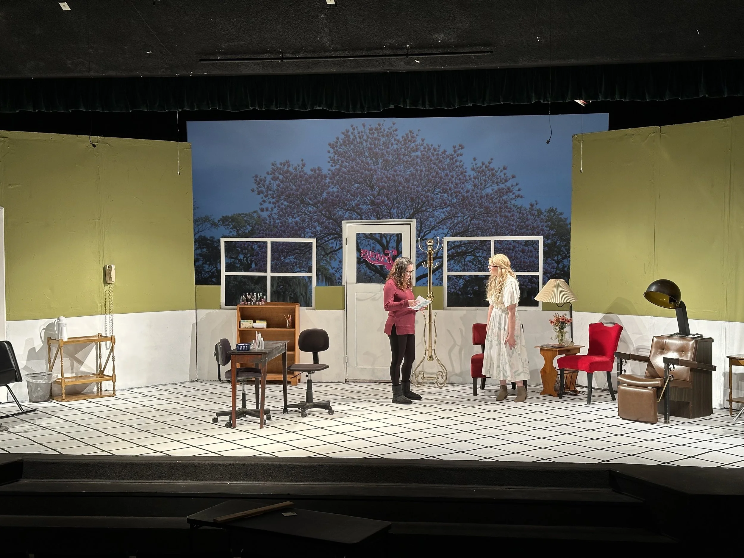 Set Design with Integrated Media - Steel Magnolias - Visalia Ice House Theater
