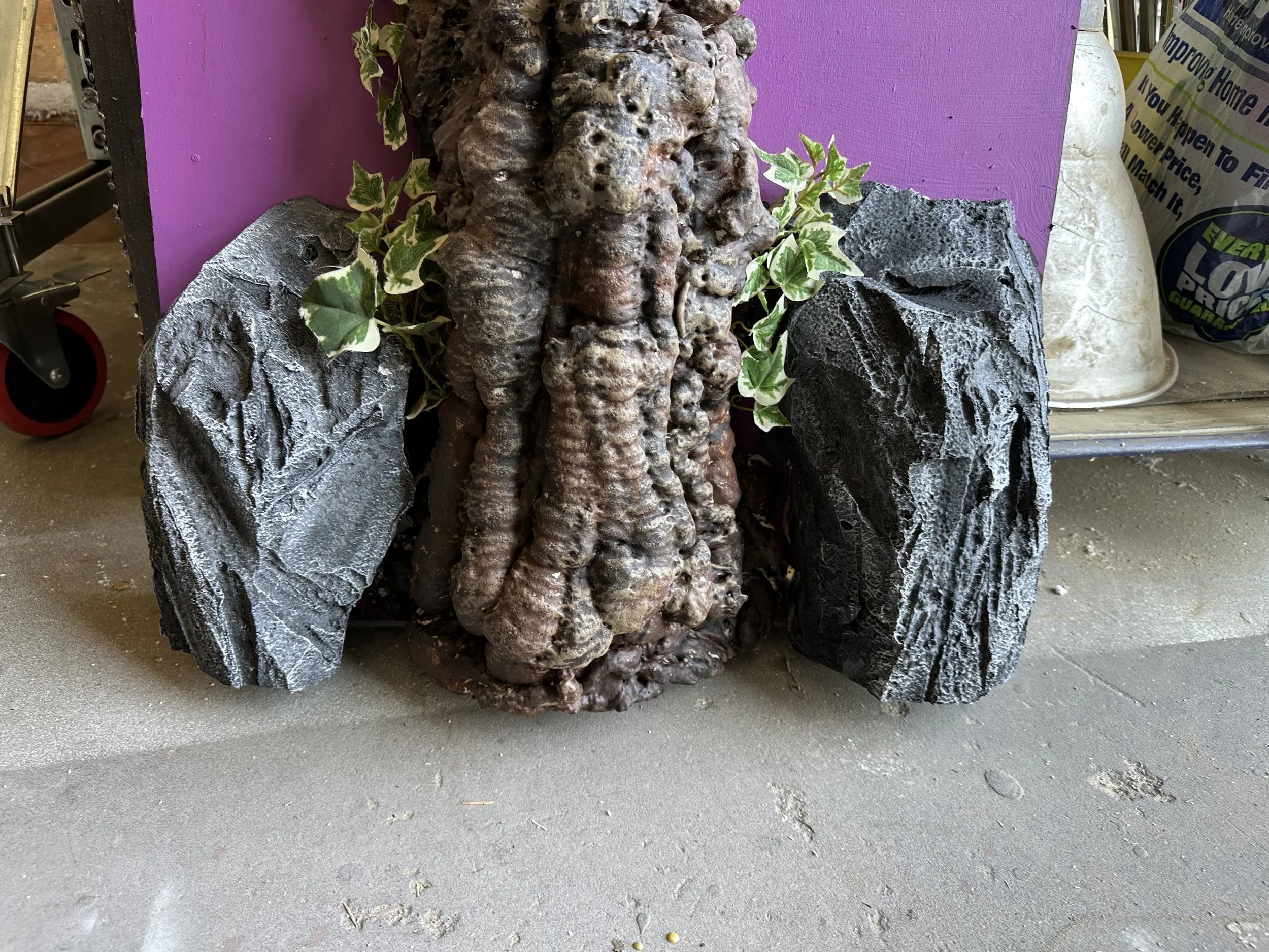 Foliage and Stones  - Willy Wonka / Alice in Wonderland - Tulare County Office of Education Theater Co.