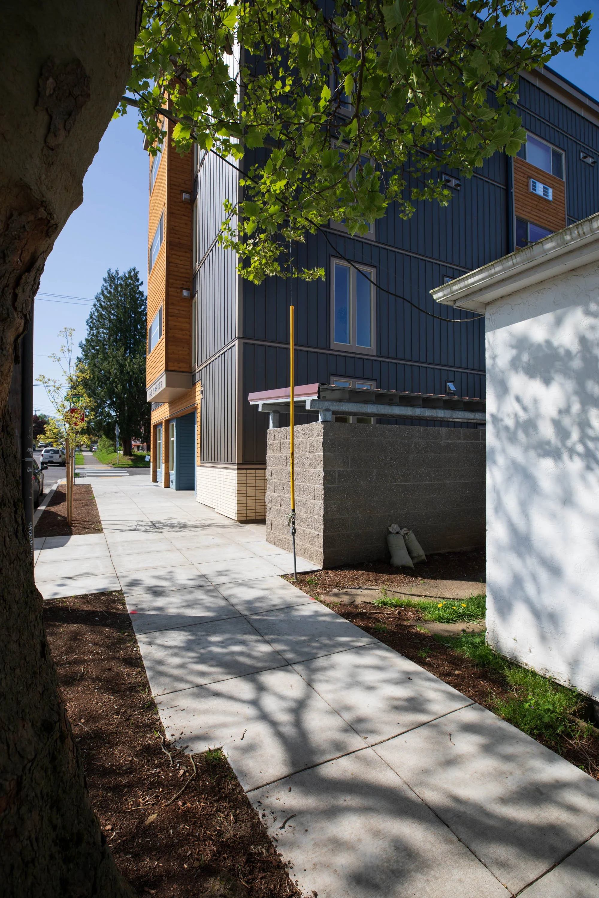 Sidewalk street view with a tree in the foreground, modern multifamily building with dark siding and wooden accents, white building partially visible at the right, and some parked cars in the background.