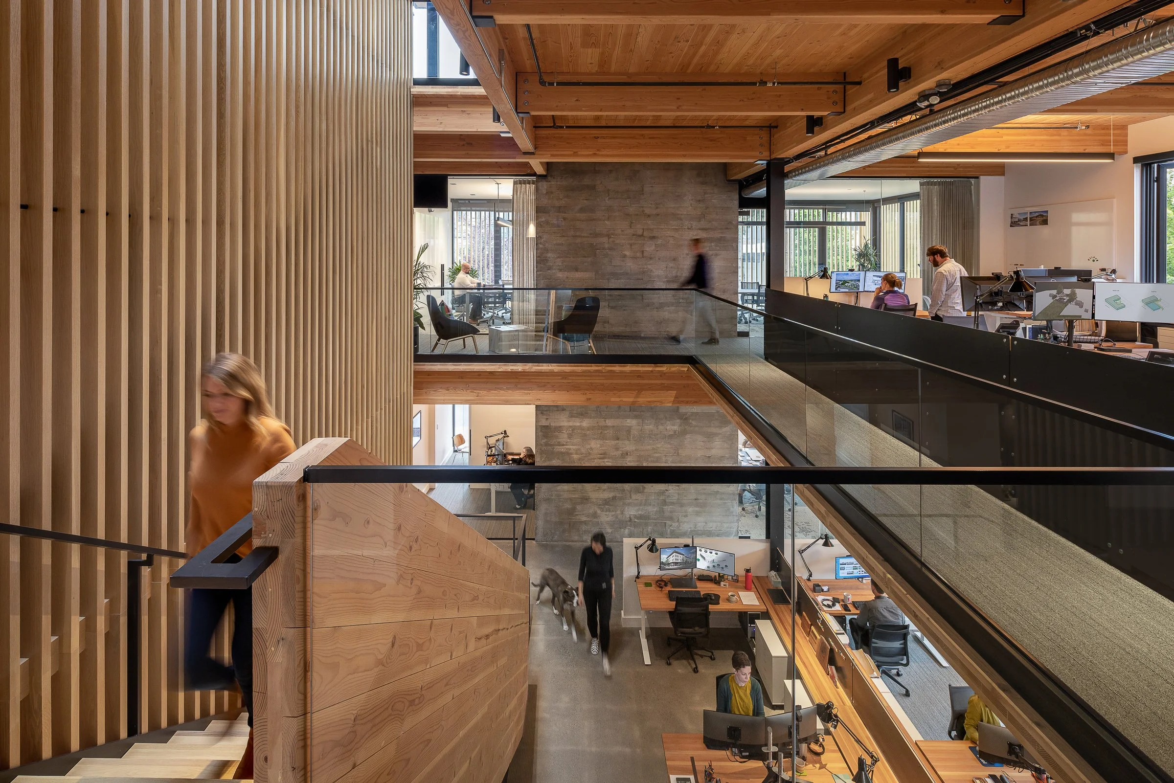 Multiple people working in an open plan office with a modern design, featuring wood accents and large windows.