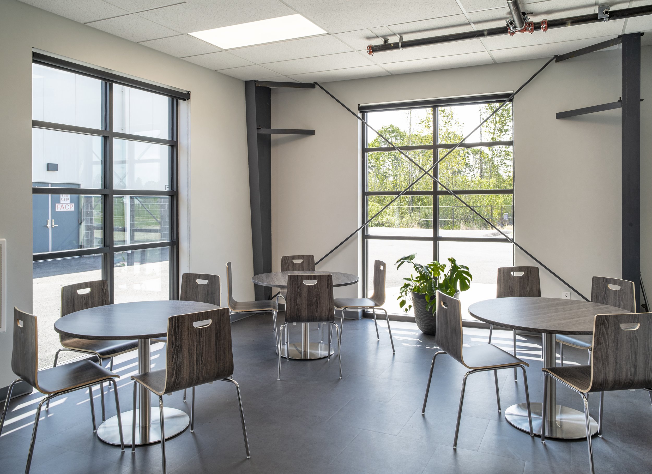 A bright room with large windows and a potted plant, containing several round tables with wooden chairs.