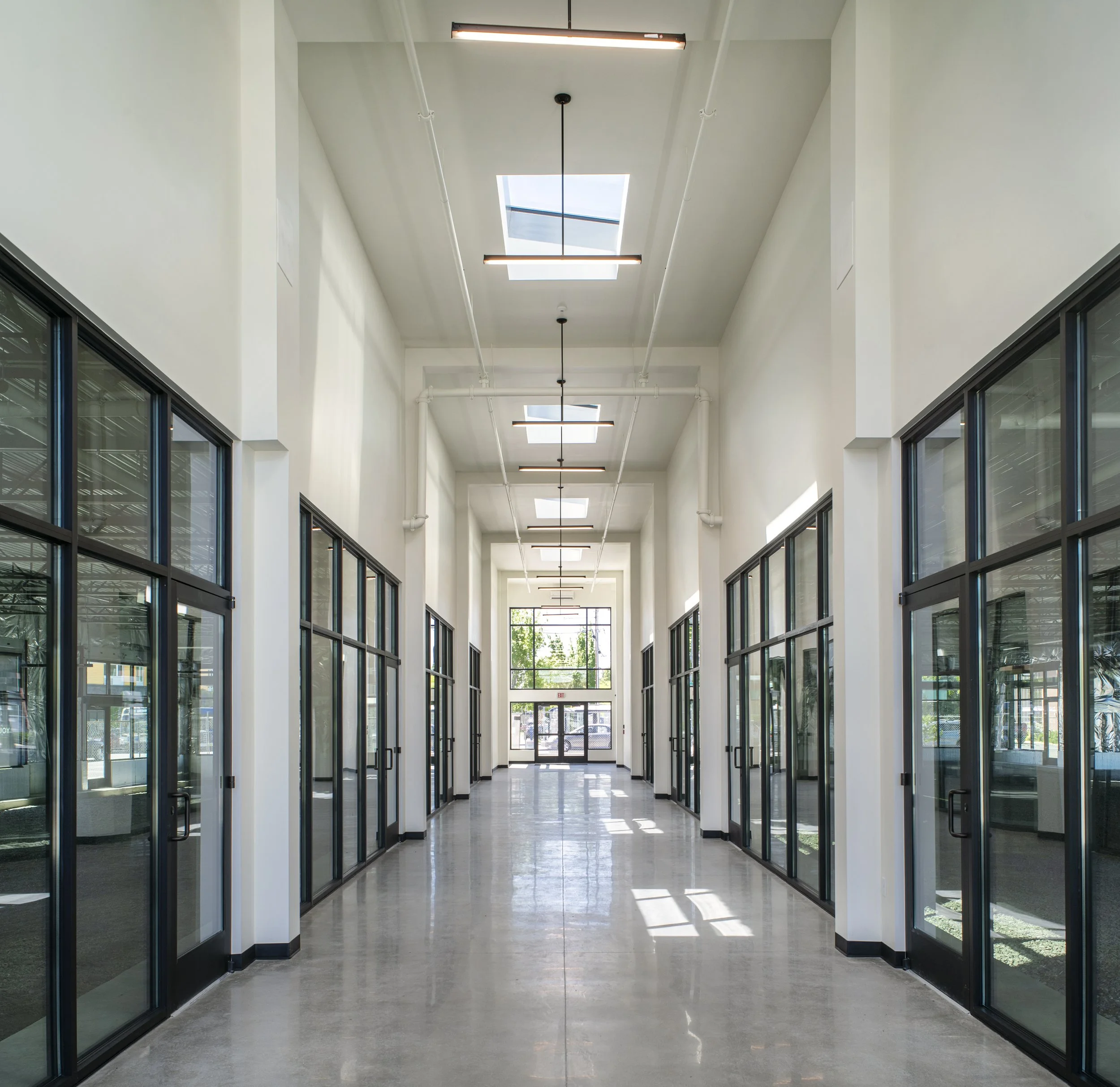 Bright, empty corridor with large glass windows and doors on both sides, skylights on the ceiling, and a polished floor with sunlight reflections.