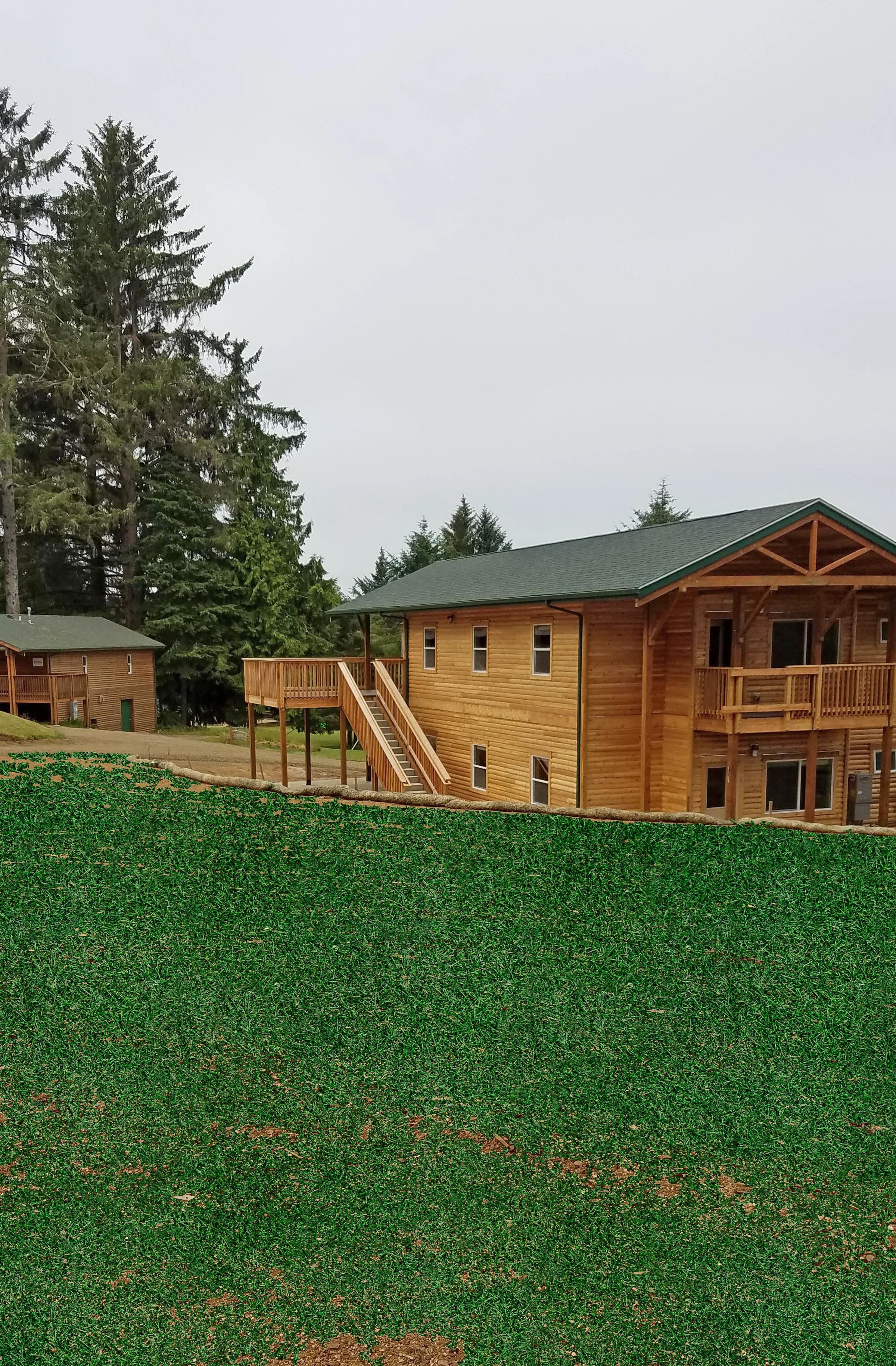 BB Camp 3-20 grass.jpg