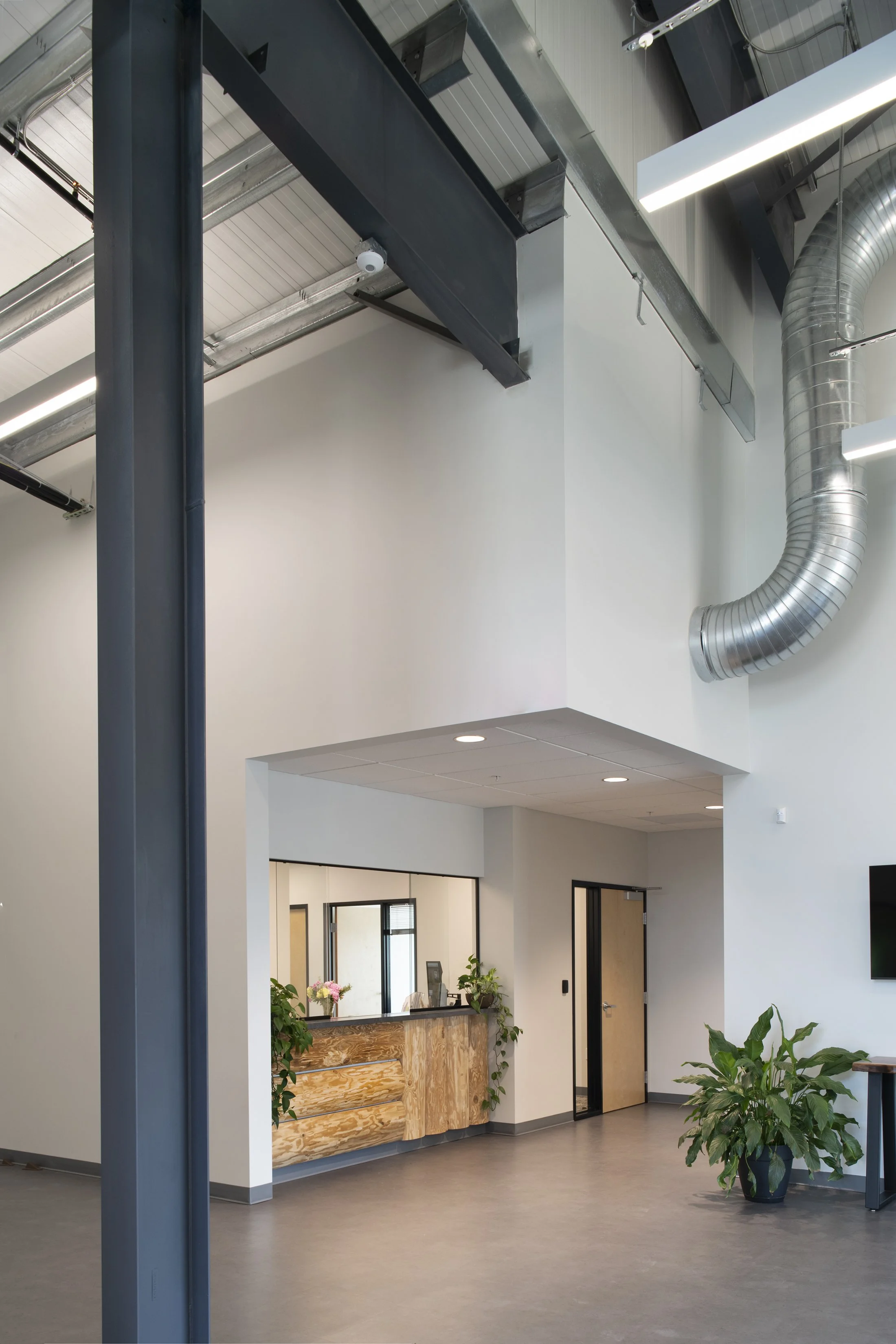 Modern office reception area with wooden desk, potted plants, reception computer, and a doorway leading to additional rooms.