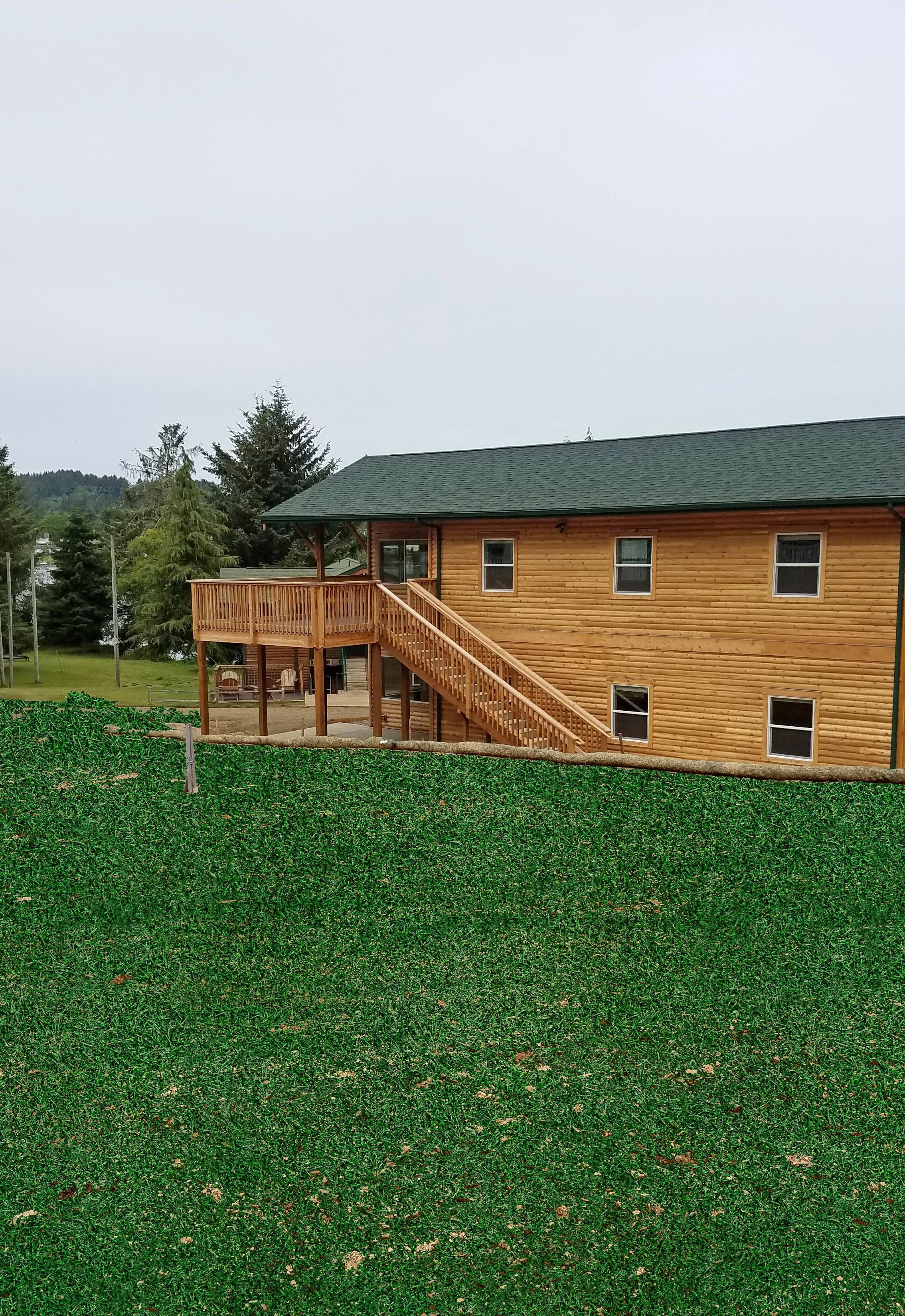 BB Camp 3-13 grass.jpg