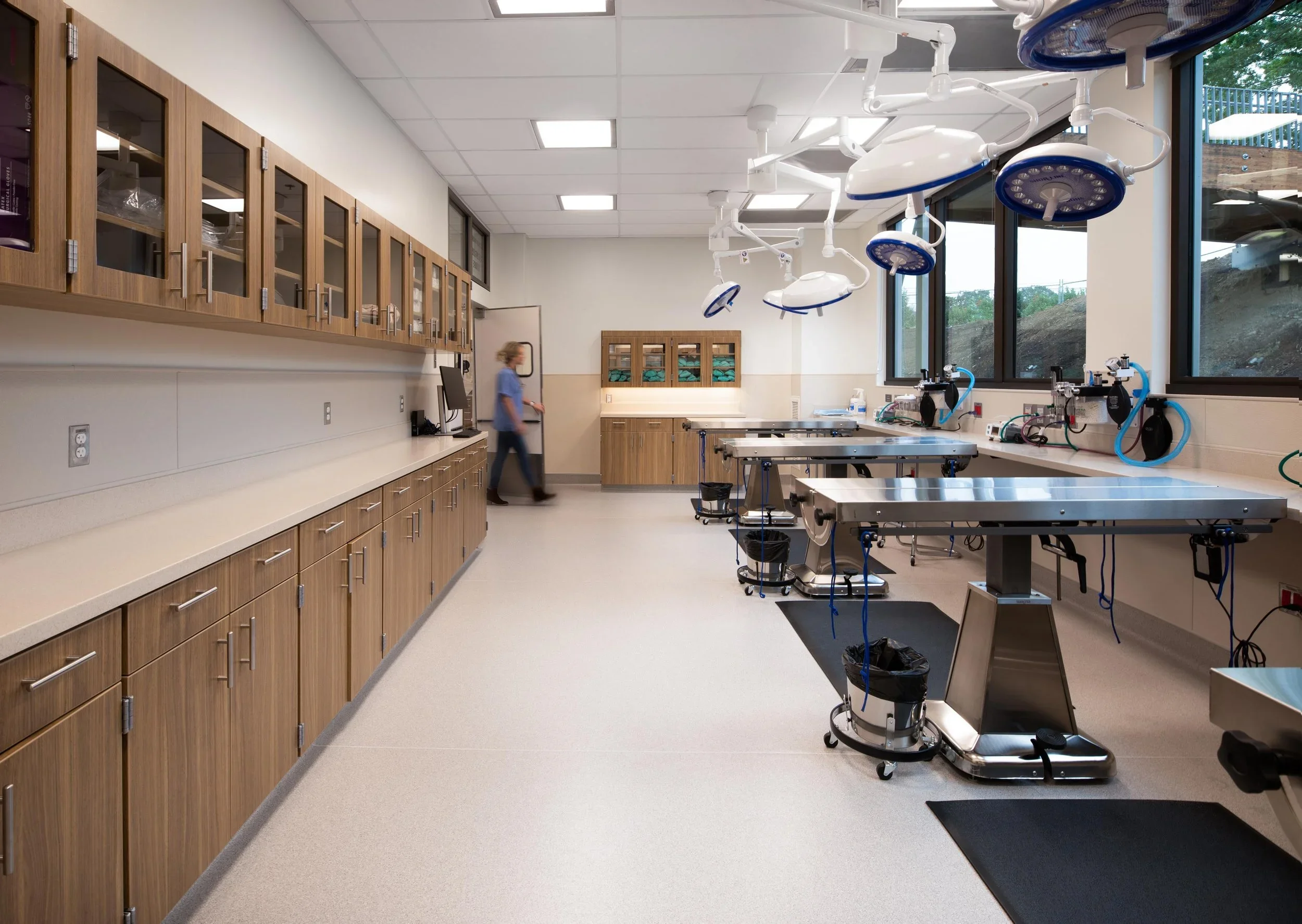 Veterinary Care