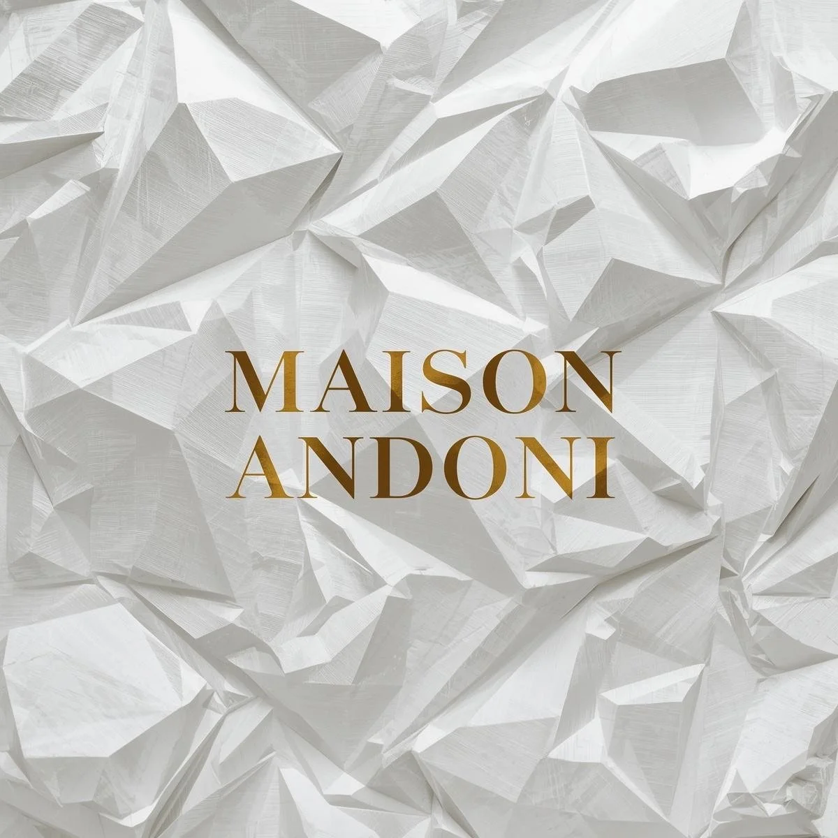 A white crumpled paper background with the text 'MAISON ANDONI' in brown, elegant font.