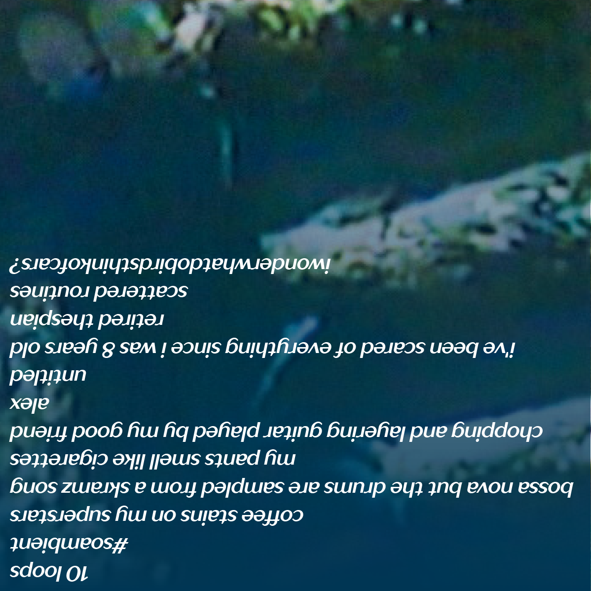 10loops copy1.png