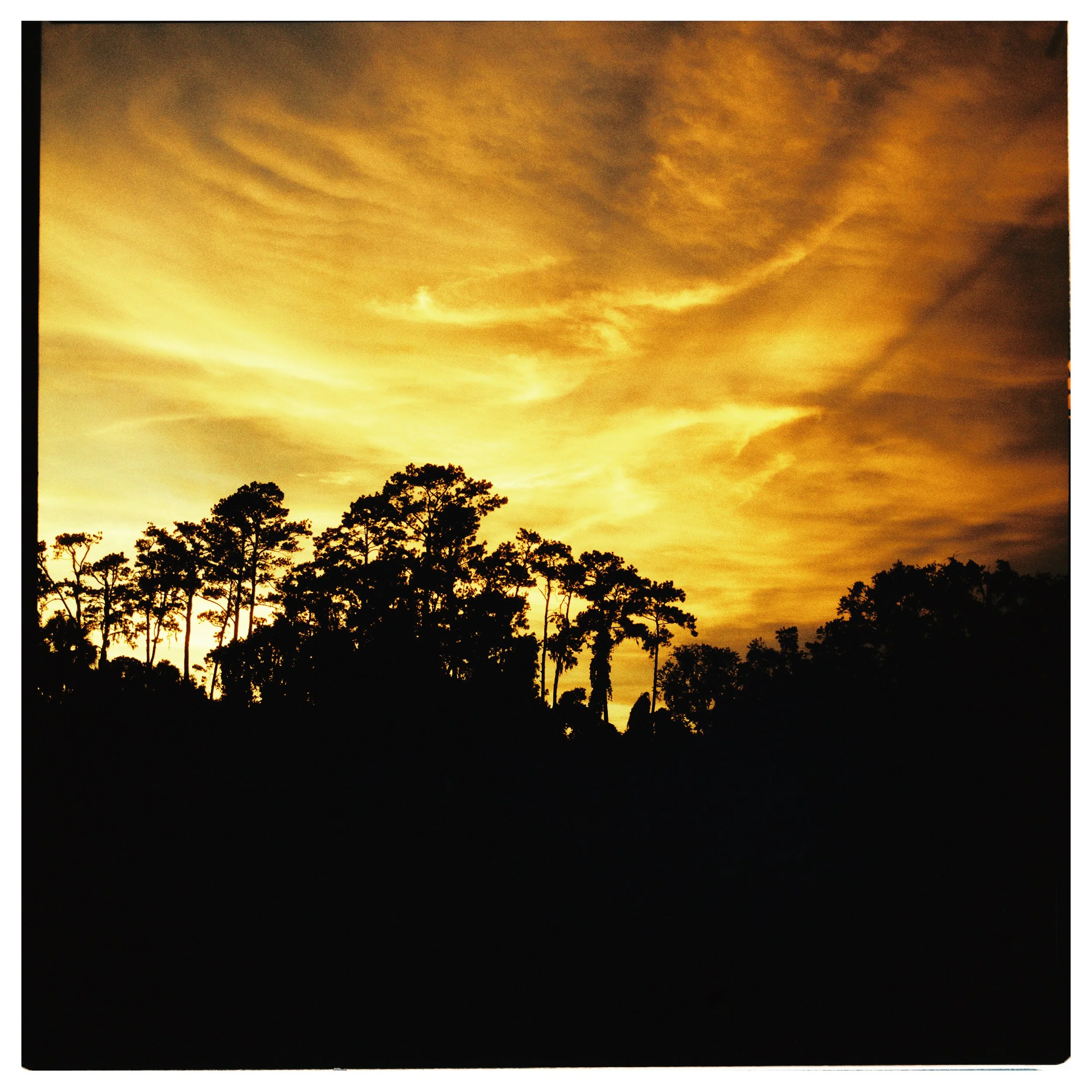 sunset_gainesville.jpg