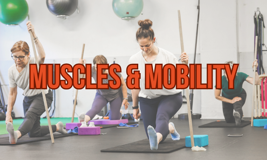 muscles and mobility group fitness evanston.png