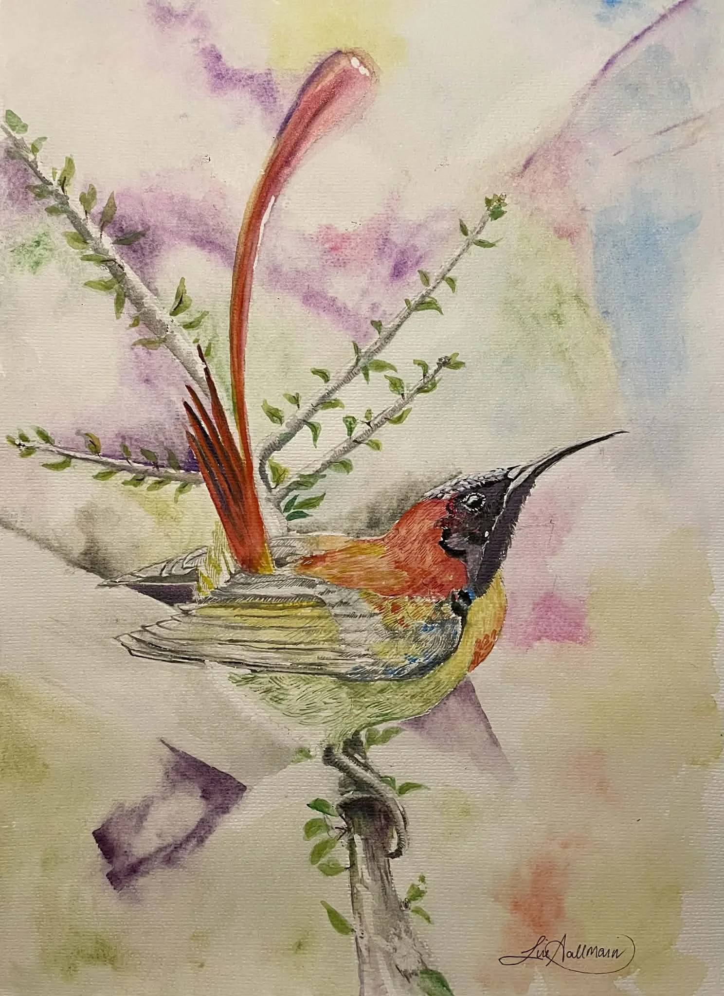 A3
Wathercolour
Kr. 3.500