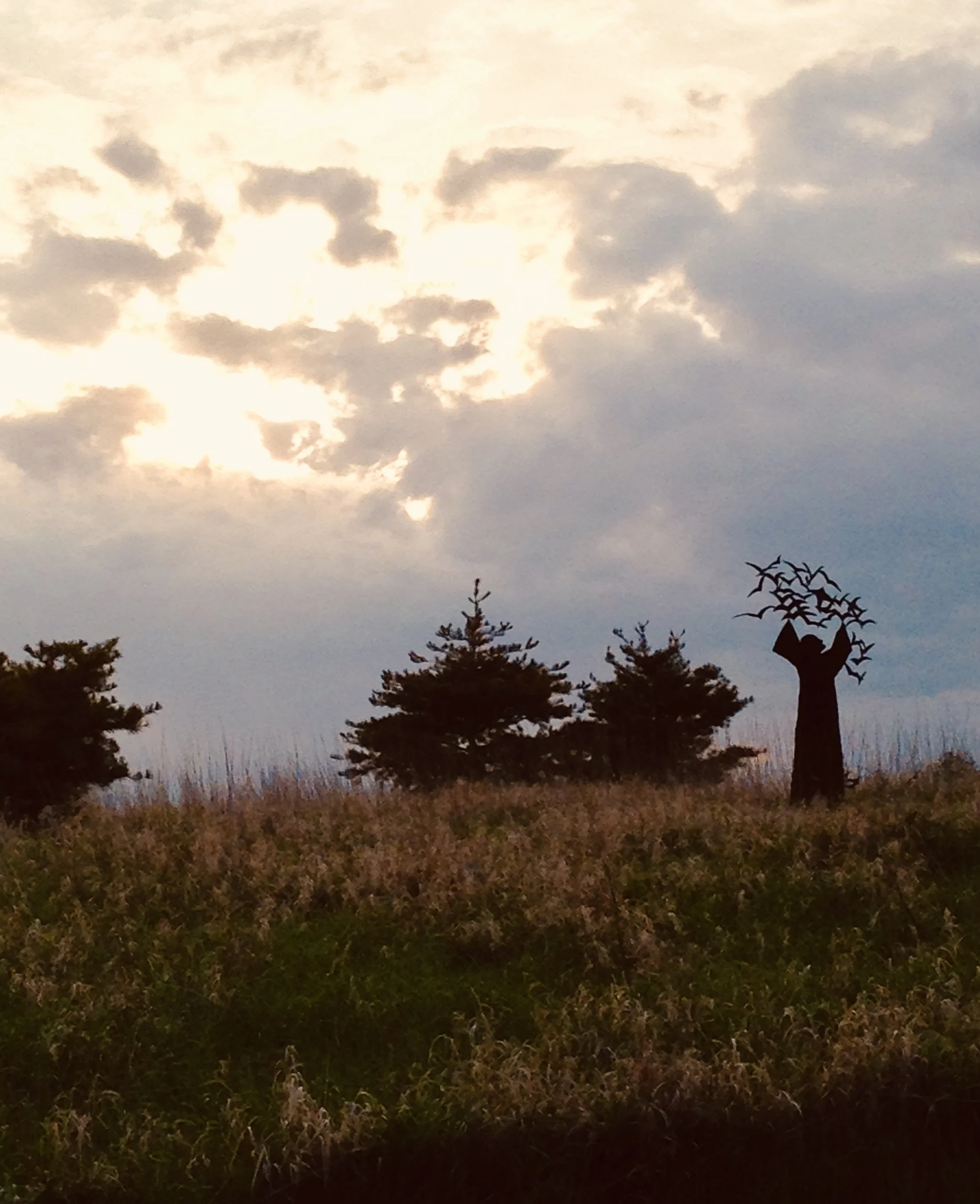 791A520D-4C73-4B1F-A3C4-9496FF1457B4_1_201_a.jpeg