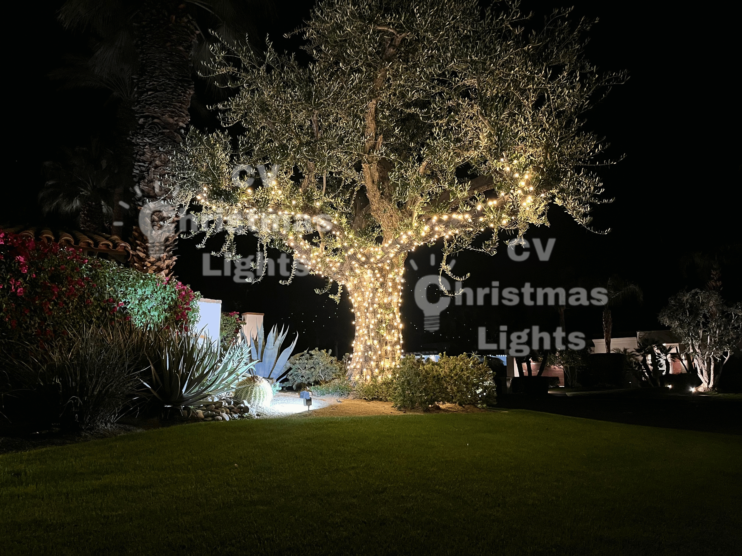 Indian Wells Christmas Lights
