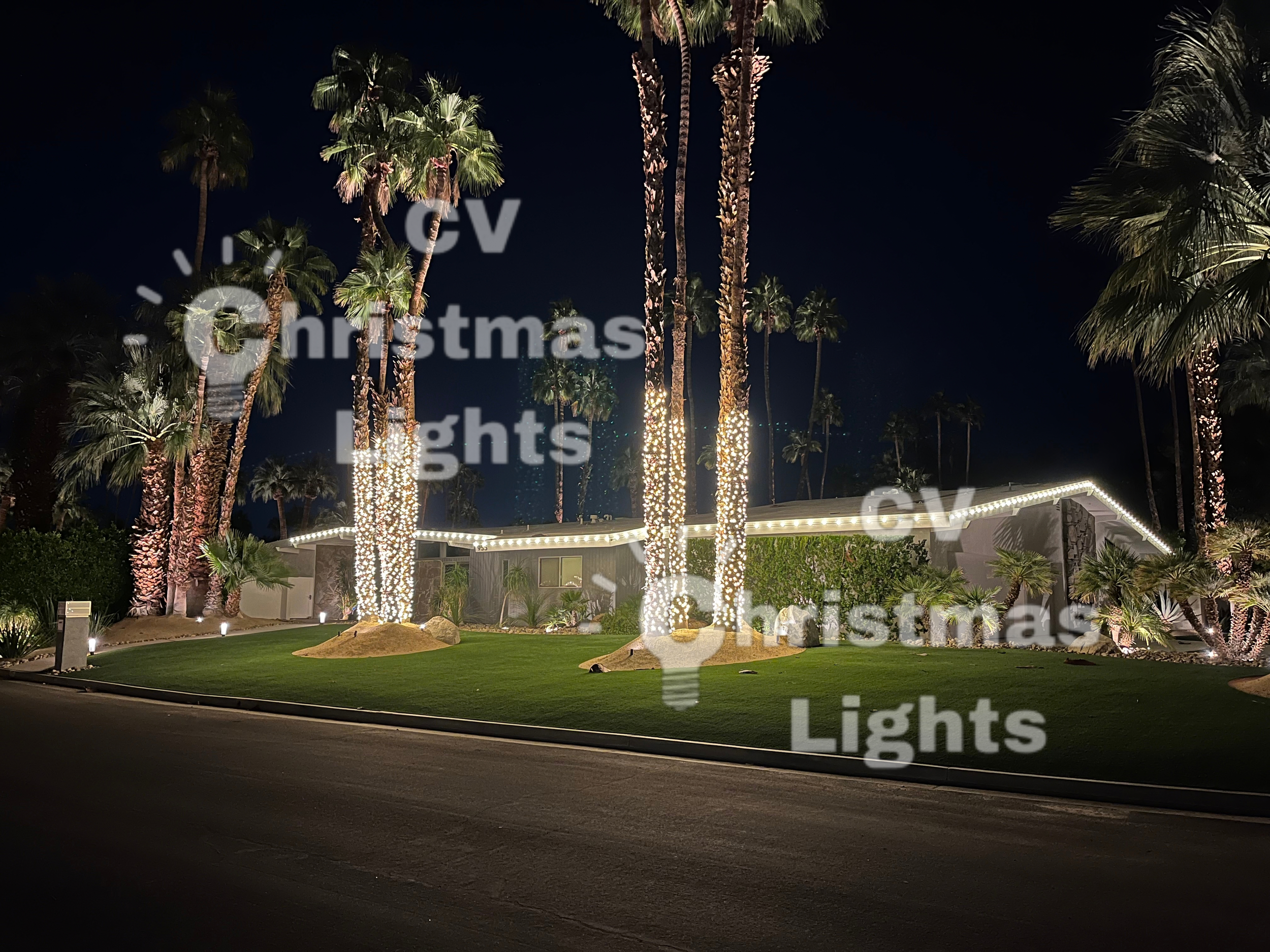 Palm Springs Christmas Lights