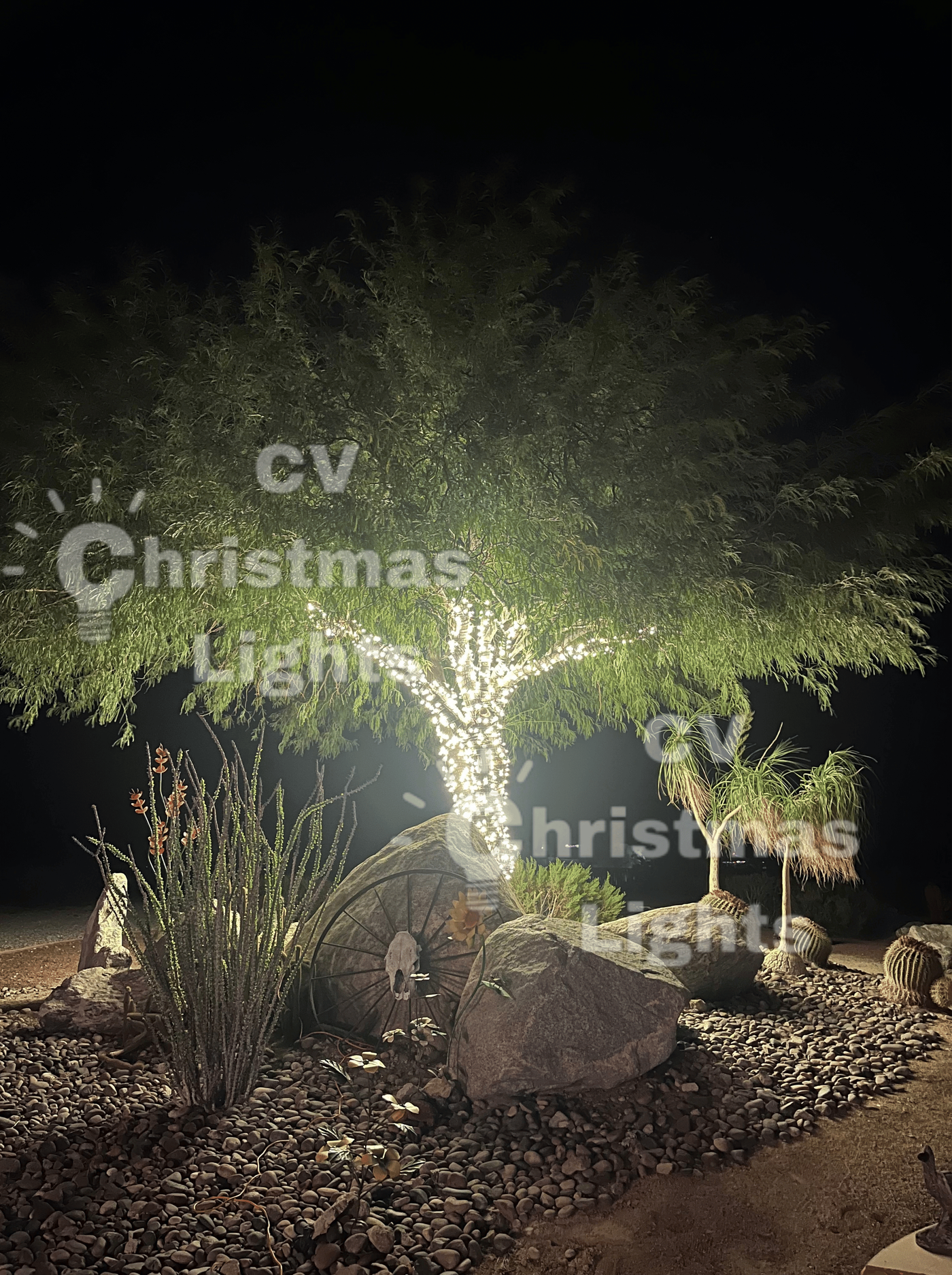 La Quinta Christmas Lights