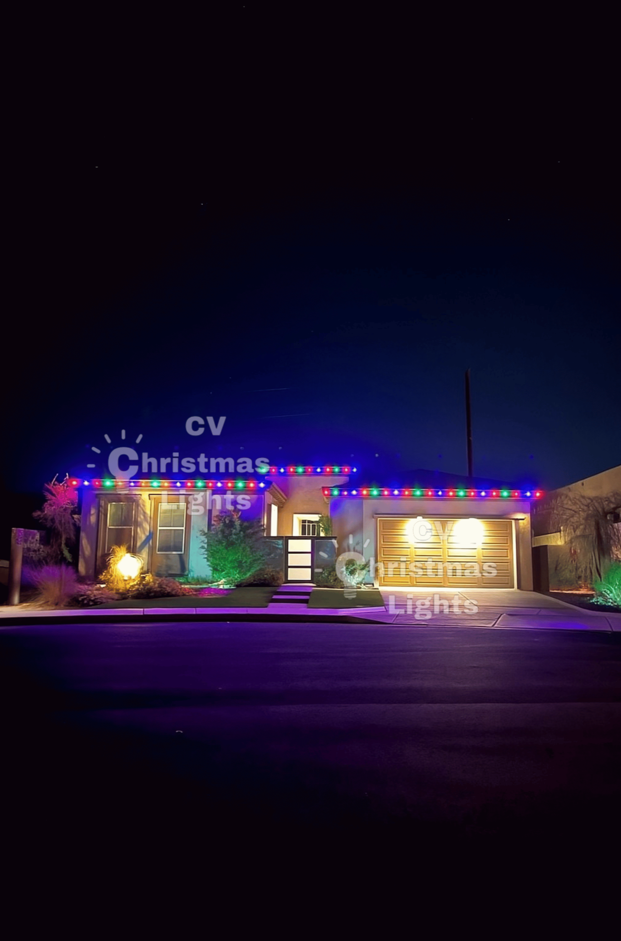 Desert Christmas Lights