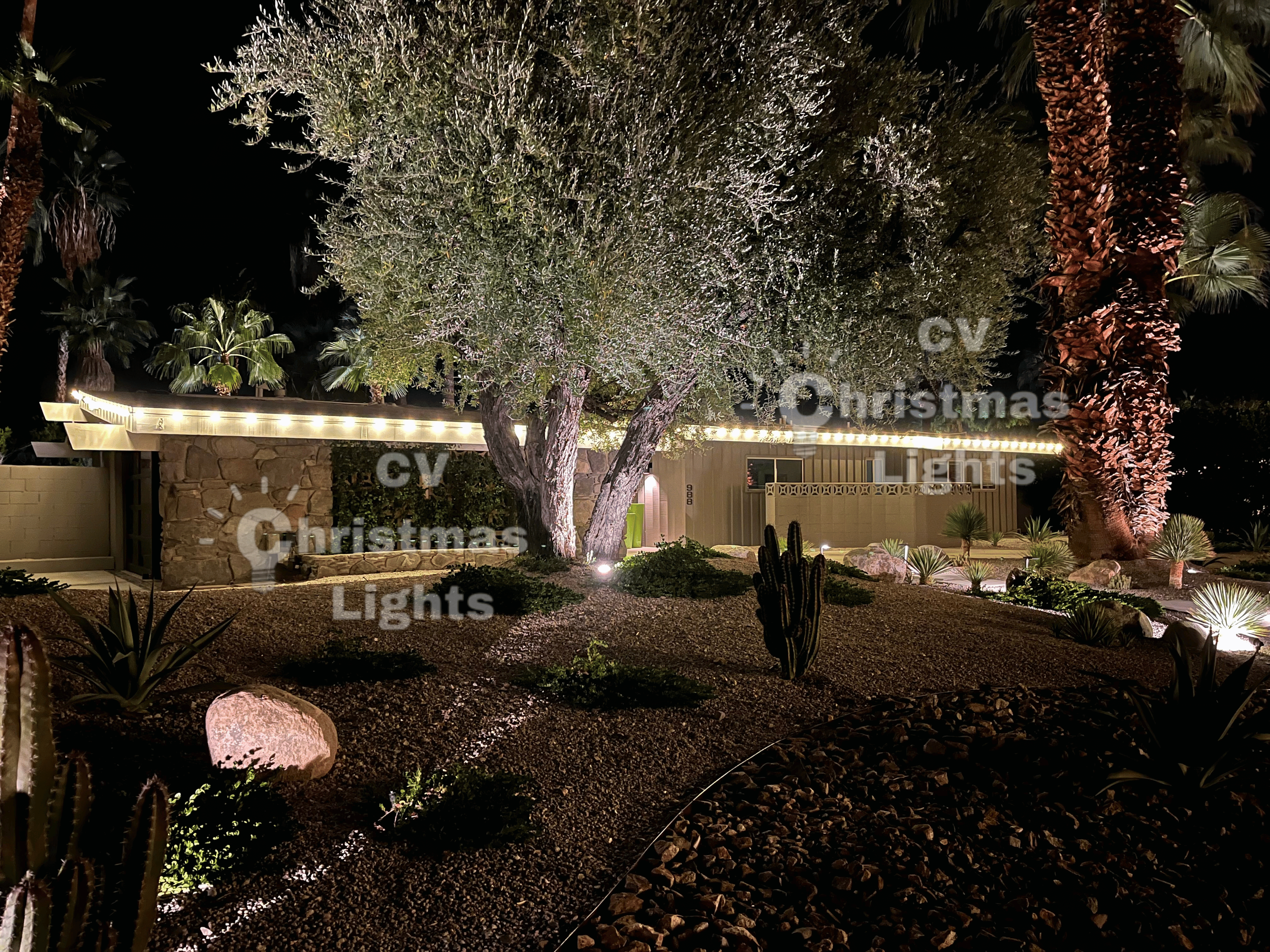 Christmas Lights Palm Desert