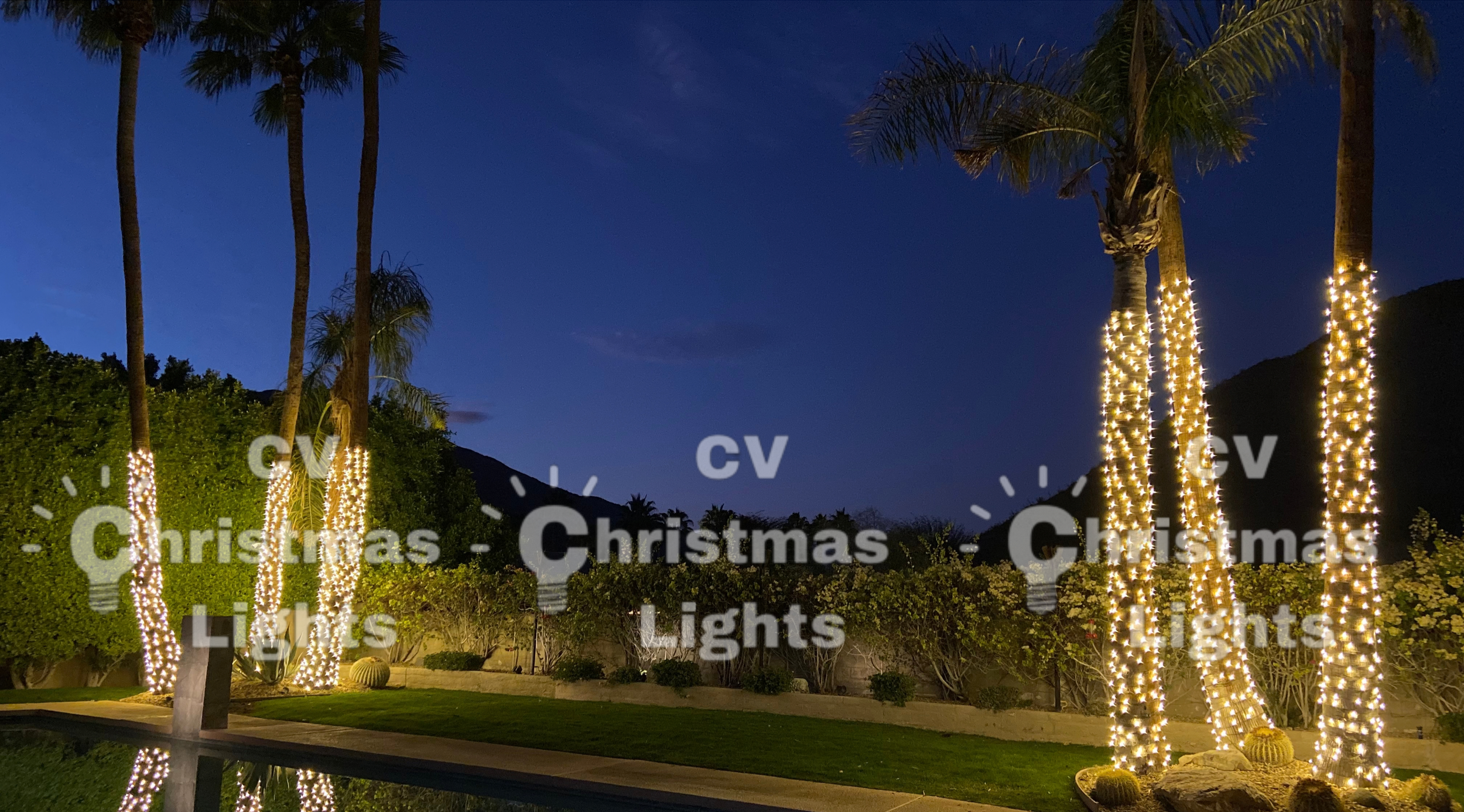 Christmas Lights Palm Springs