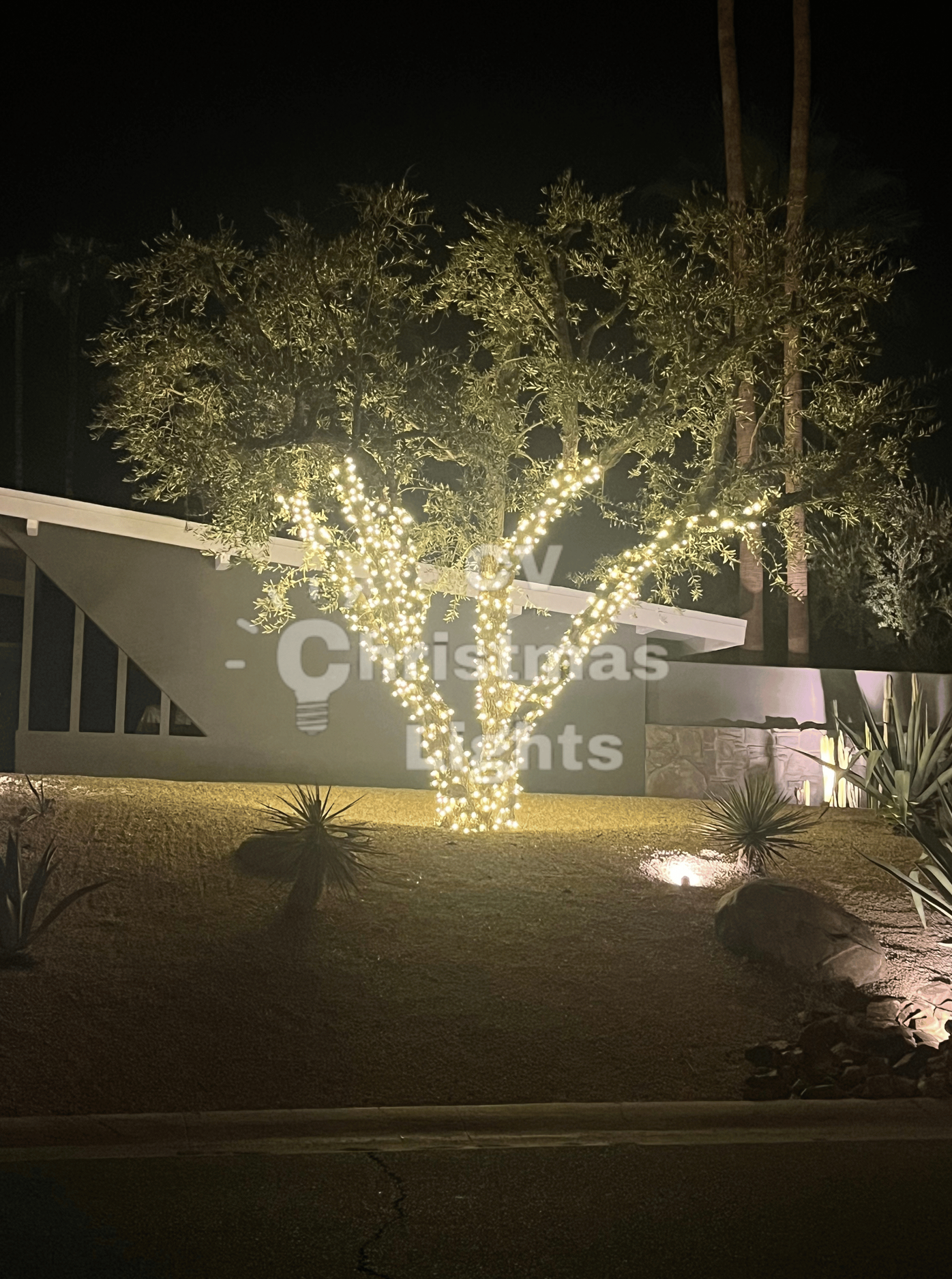 Christmas Lights Palm Springs