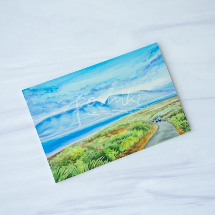 Road to Shipwreck Beach Postcard