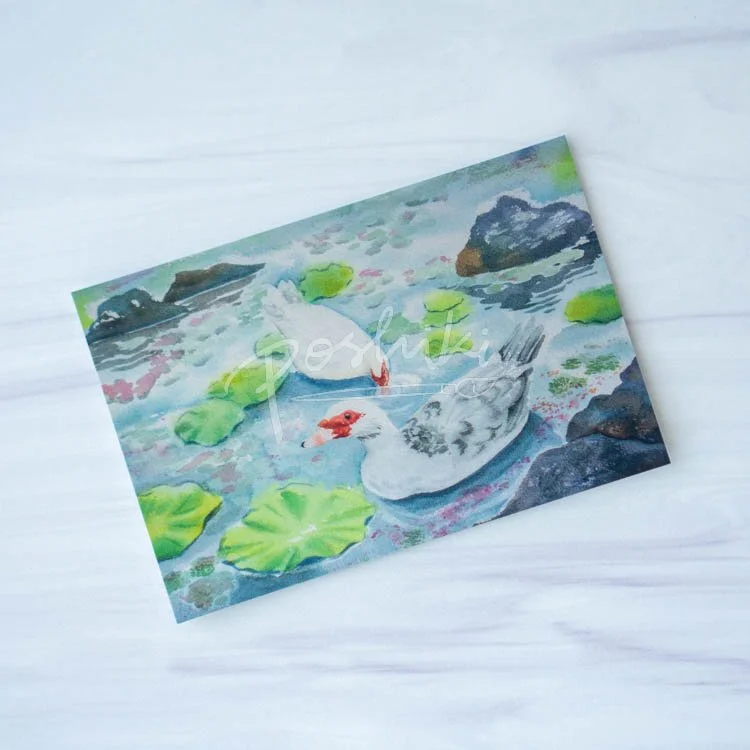 Lānaʻi Ducks Postcard