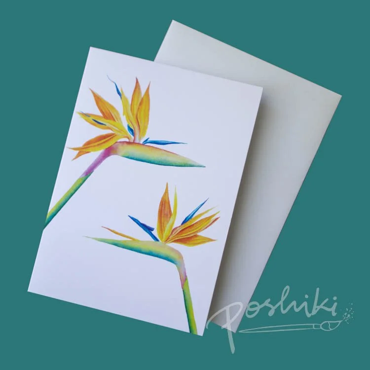 Bird of Paradise Greeting Card