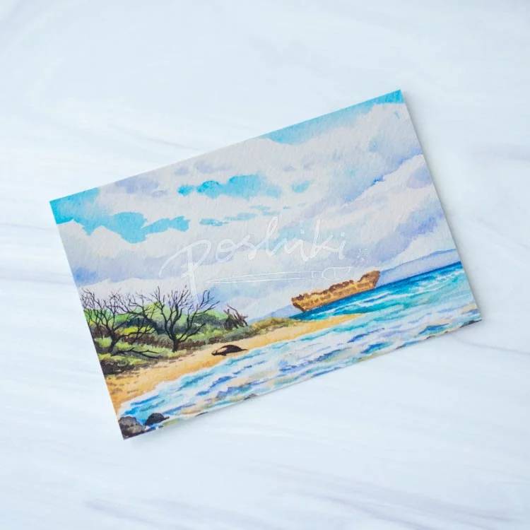 Shipwreck Beach Seal Postcard