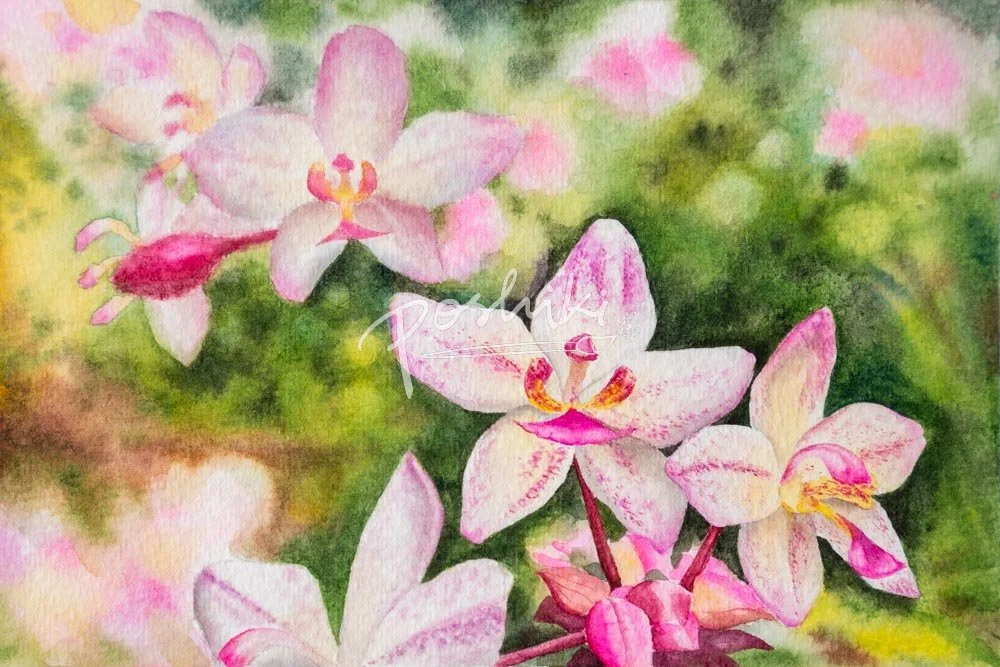 A watercolor painting of pink orchids.
