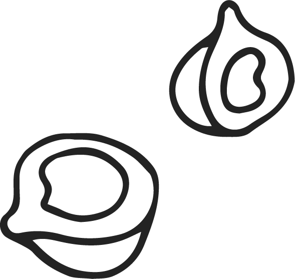 Outline illustration of two garlic bulbs, one whole and one sliced in half.