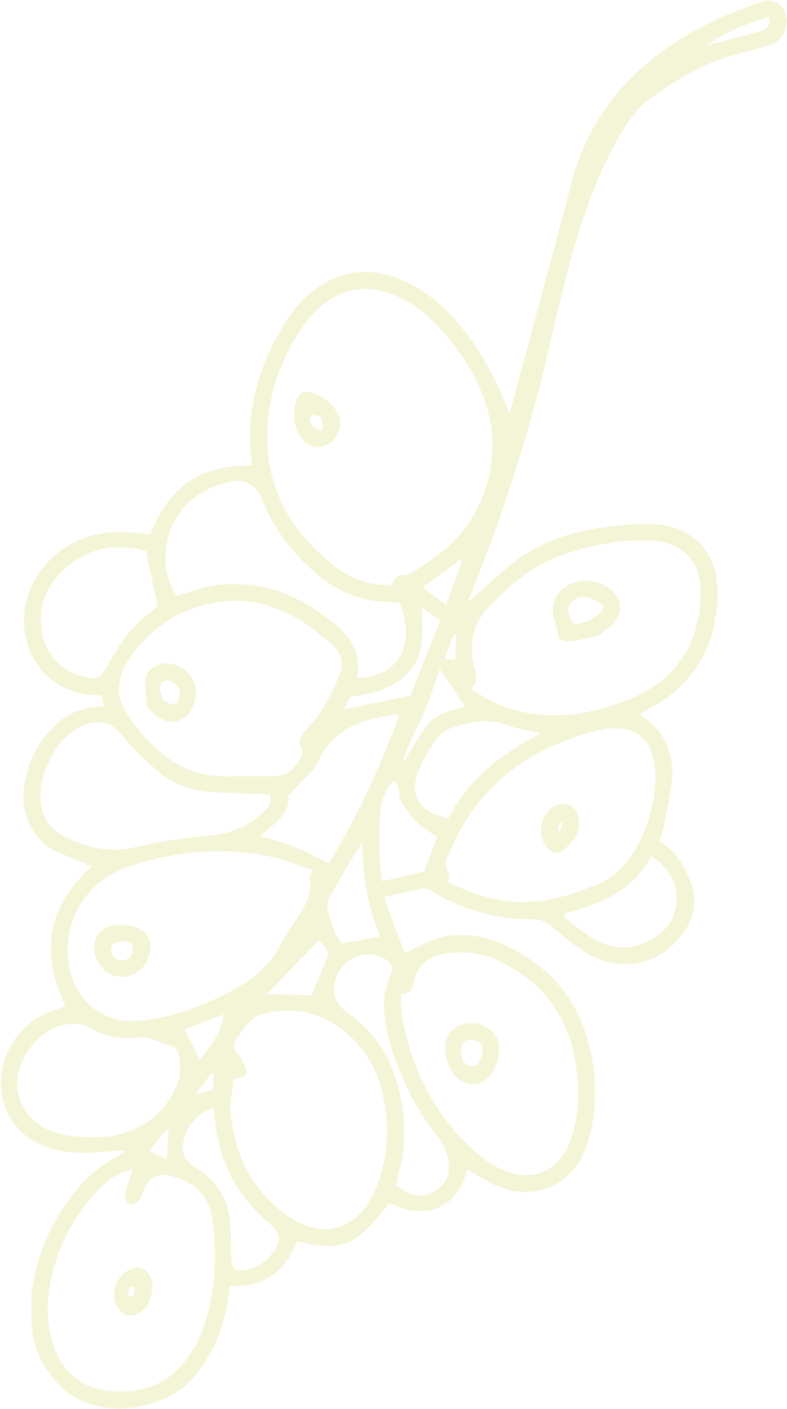 Line drawing of a bunch of olives, outline style.