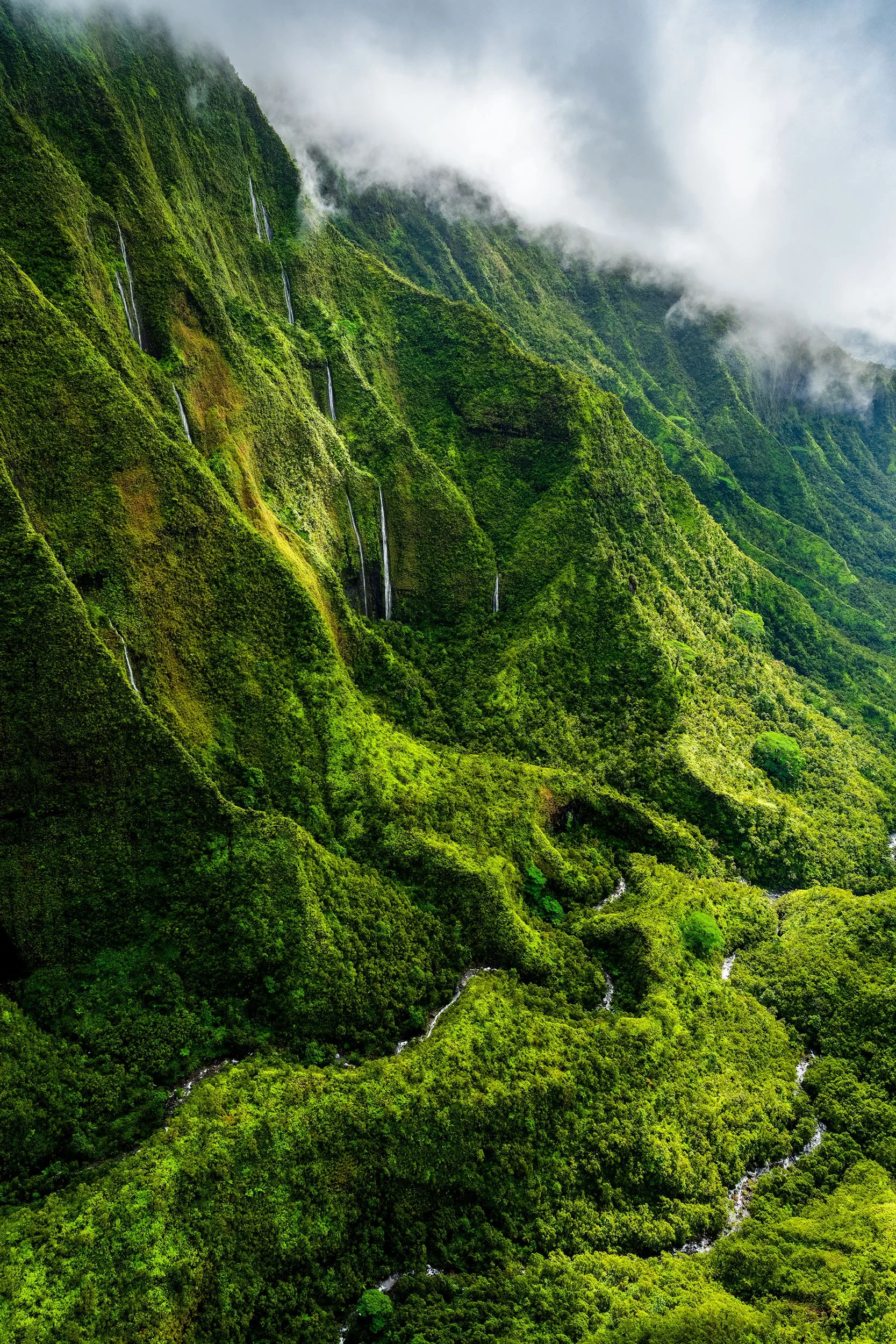 Aerial Photo of Waialeale Crater Kauai Hawaii by Cody Roberts Fine Art