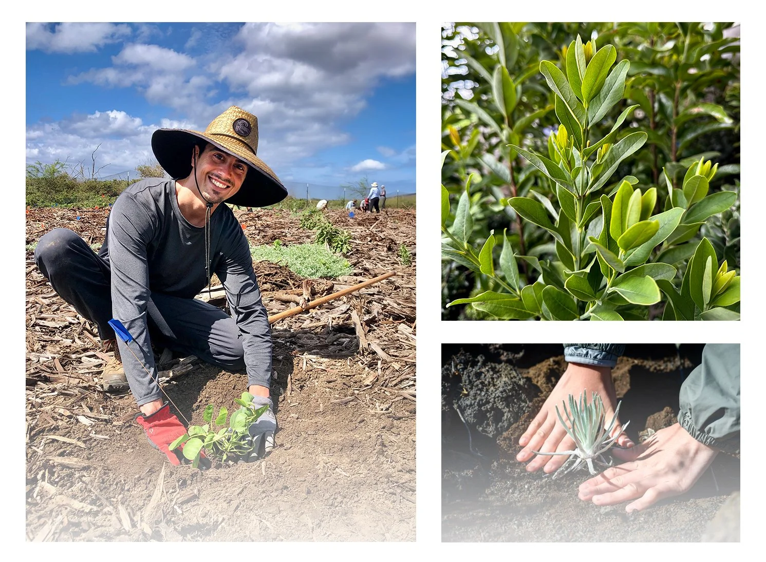 Mālama ʻĀina - Giving Back To The Land That Sustain Us