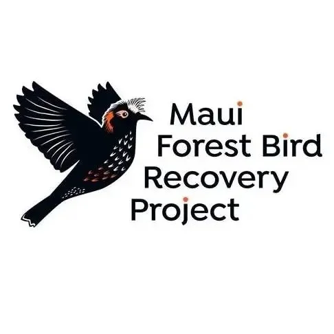 Maui Forest Bird Recovery Project