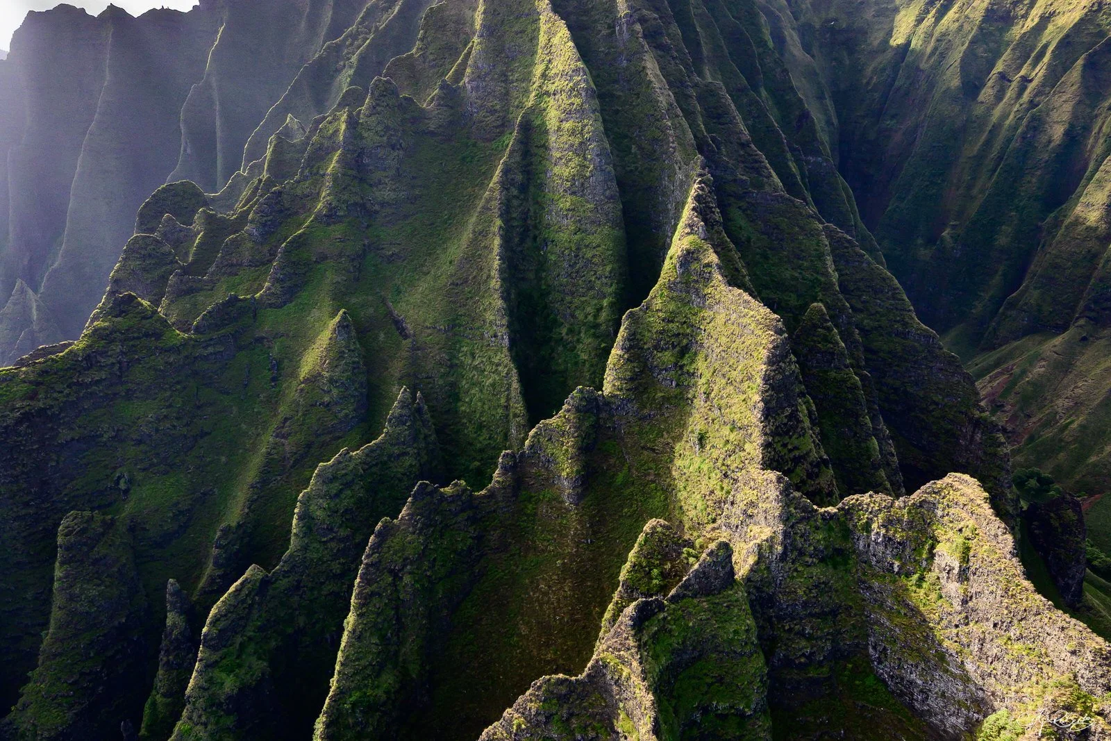 Amazing Kauai Mountains - Cody Roberts.jpg