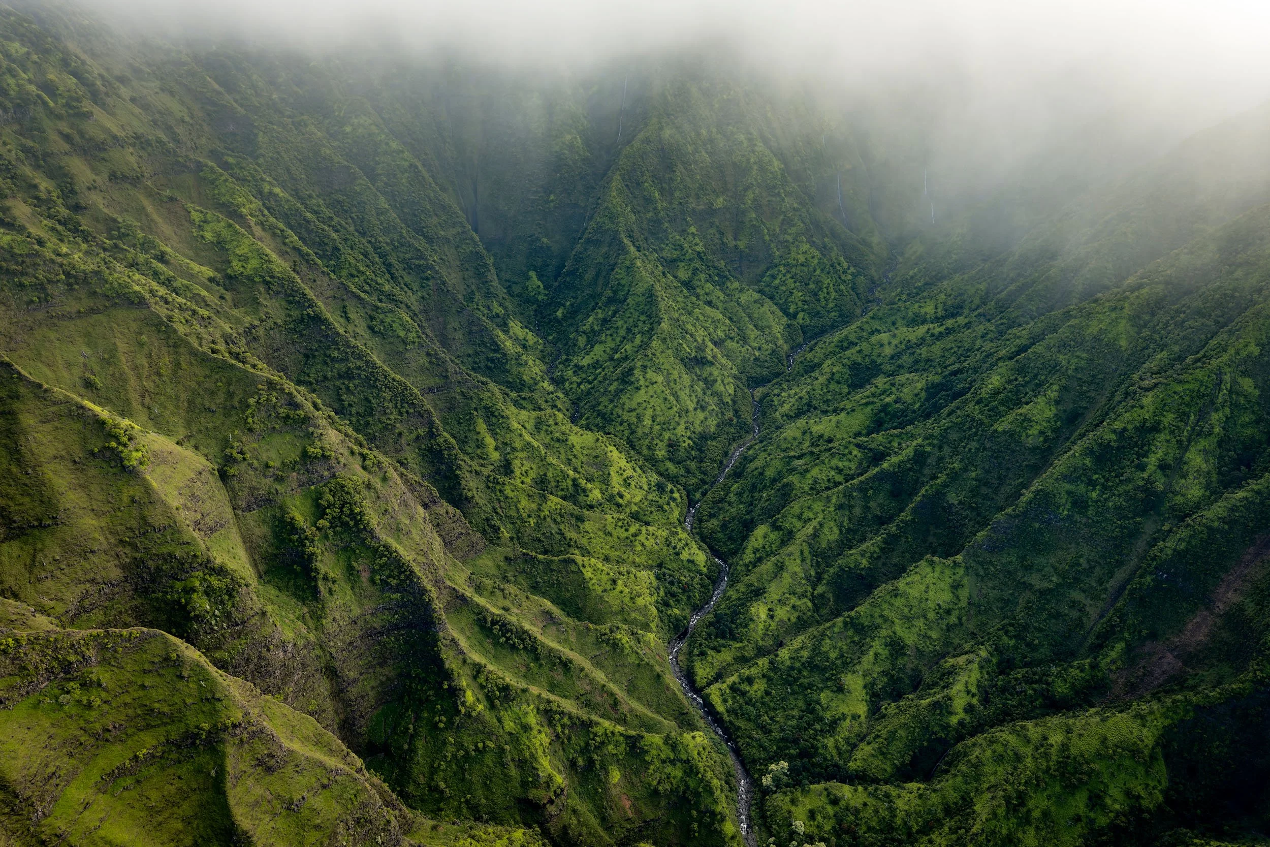 Hidden Worlds - Cody Roberts Hawaii Photography.jpg