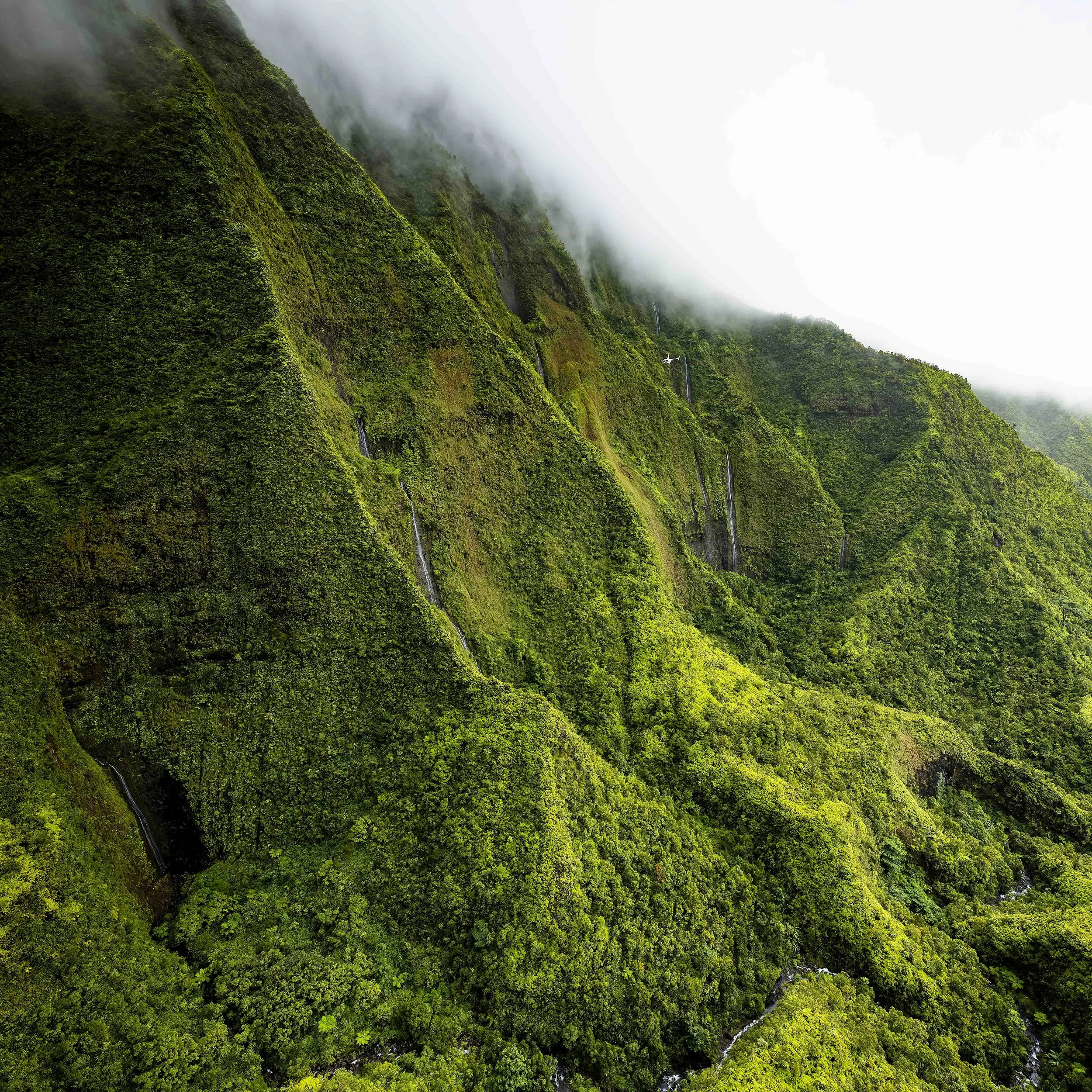 Hawaii Visual Media-147.jpg