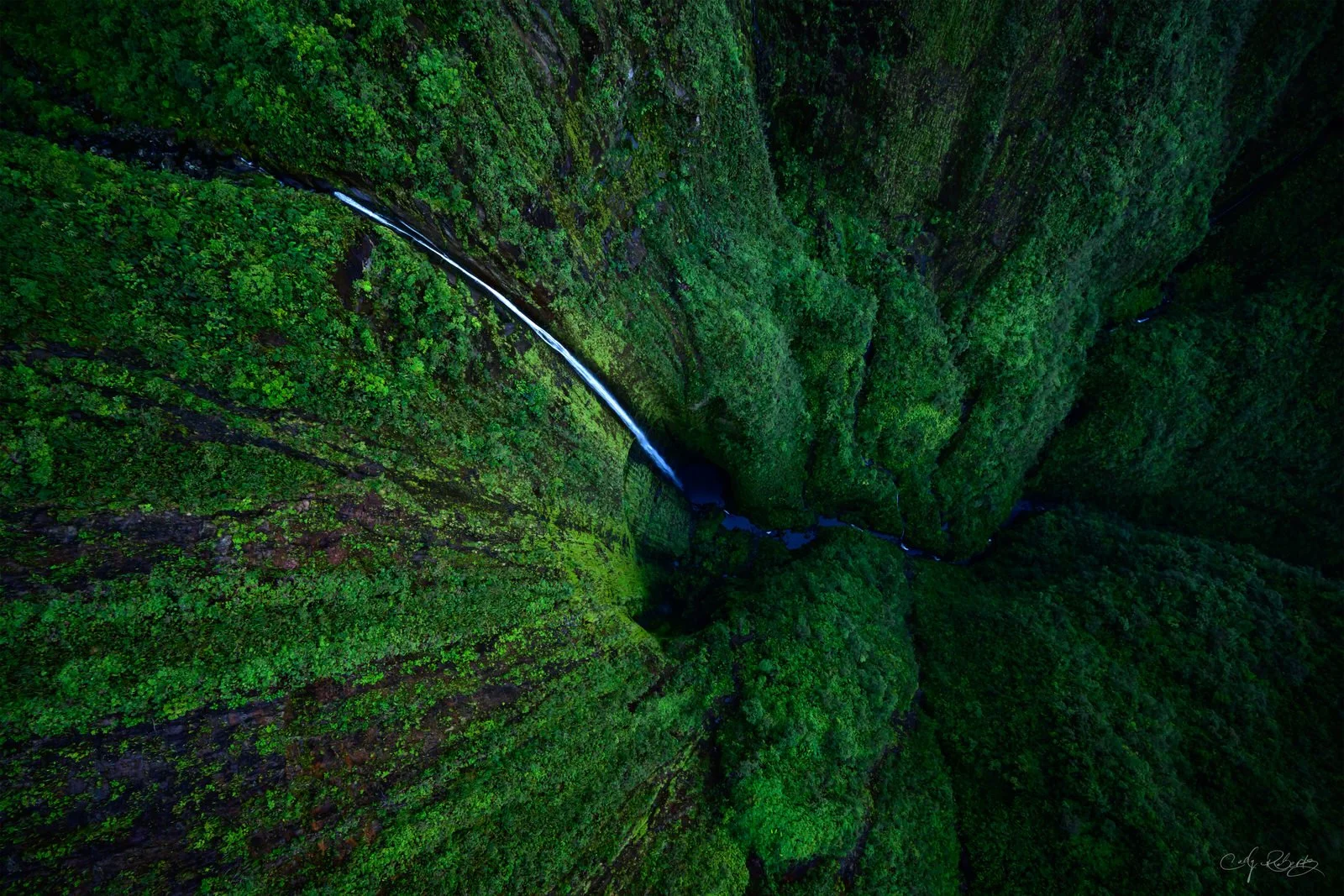 Maui's Largest Waterfall - Cody Roberts Fine Art.jpg