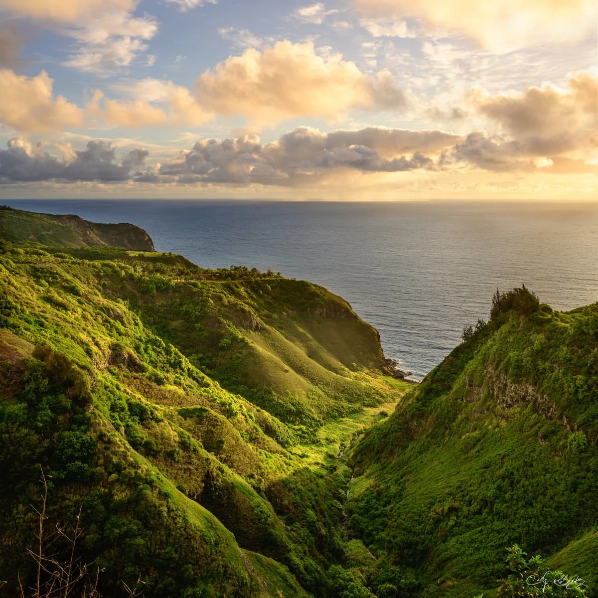 Maui Hawaii Sunrise Ocean Valley View - Cody Roberts.jpg