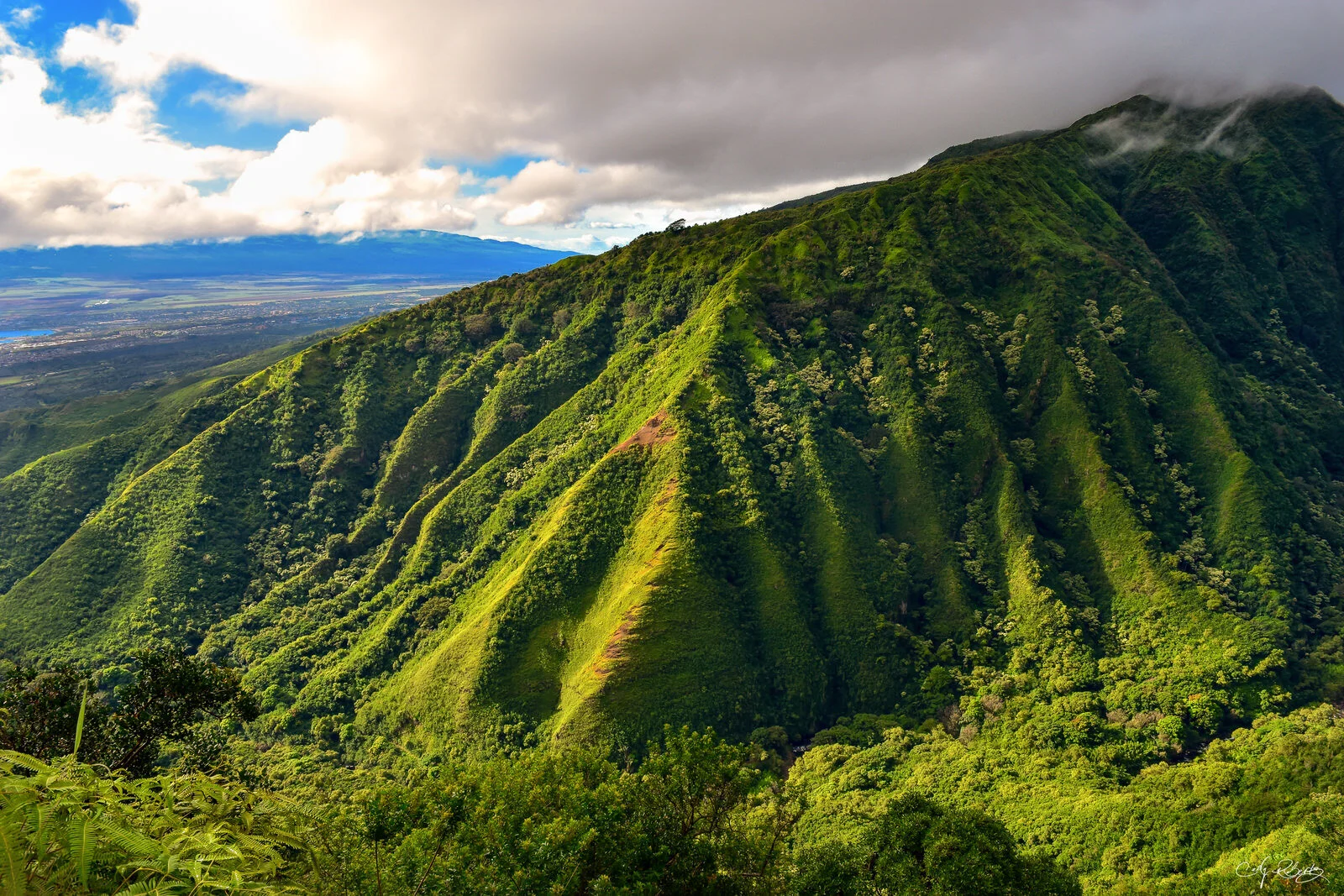 Waihee Valley Maui Sunrise Art - Cody Roberts.jpg