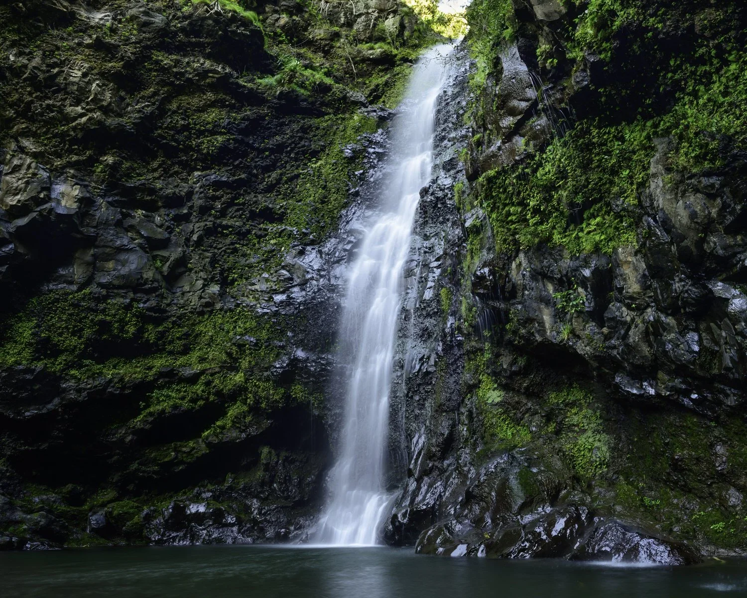 Amazing+Secret+Waterfall+Maui+Hawaii+-+Cody+Roberts.webp