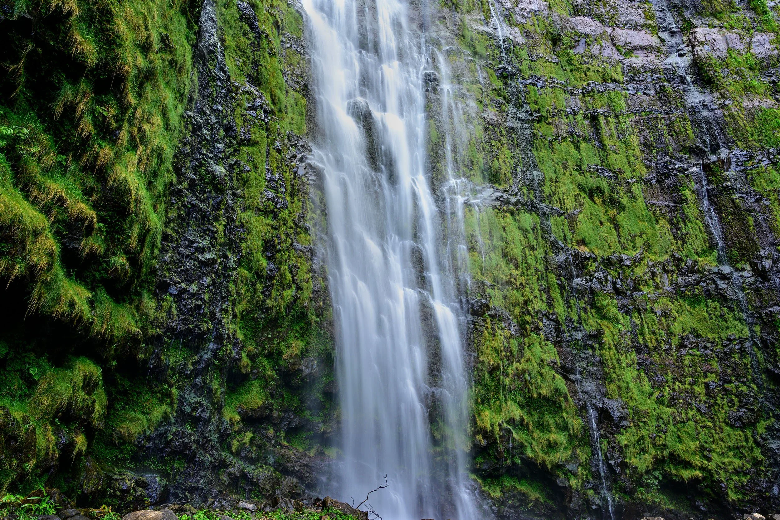 An intimate view of Waimoku Falls—a large waterfall with steep walls covered in wet mosses