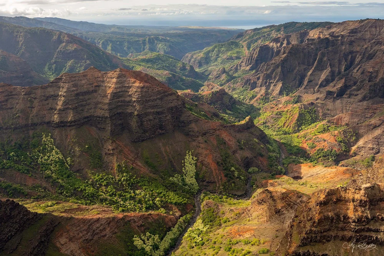 From+On+High+-+Waimea+Canyon+Fine+Art+Photography+-+Cody+Roberts.webp
