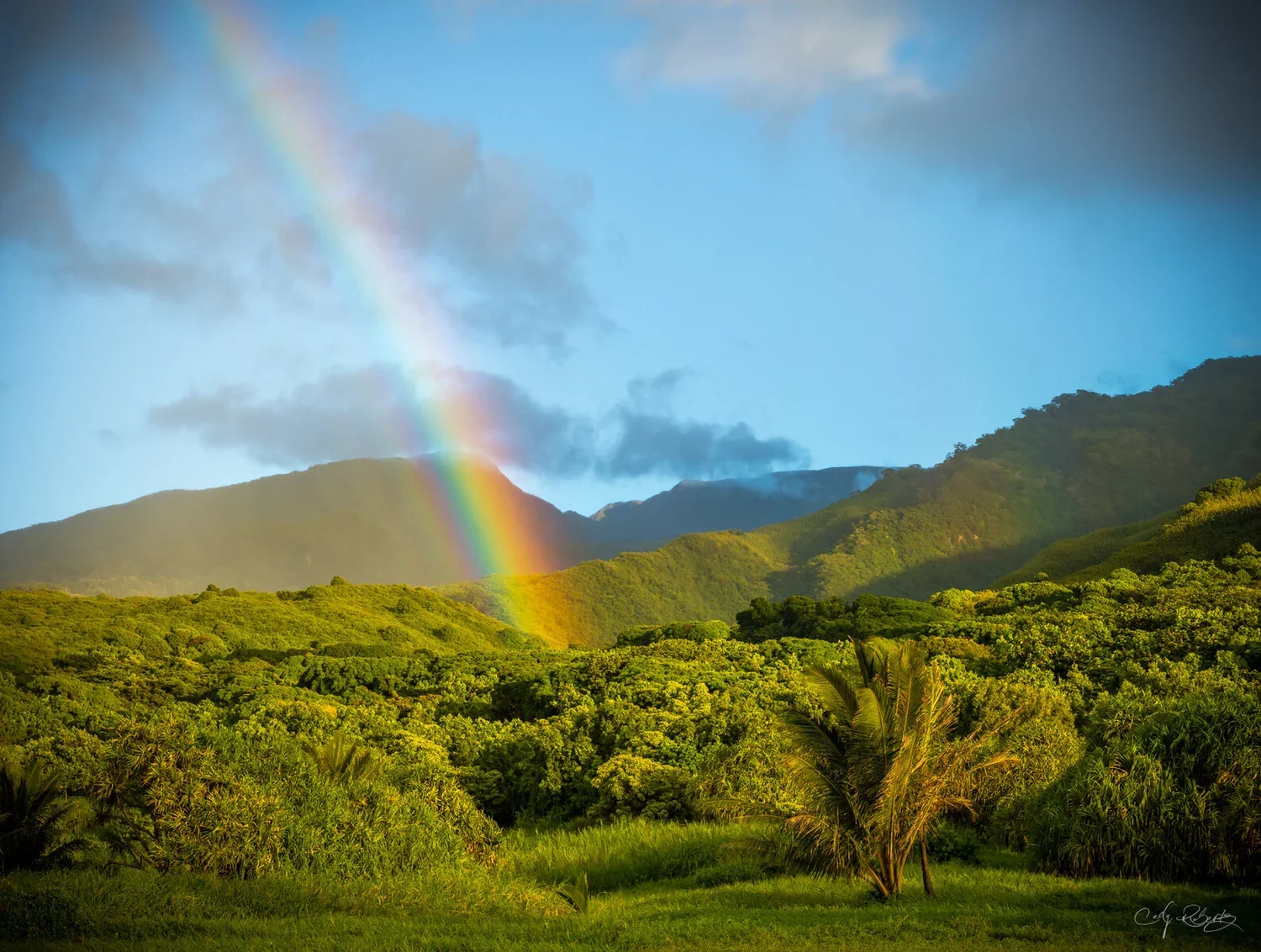 Road+to+Hana+Maui+Rainbow+Art+-+Cody+Roberts.webp