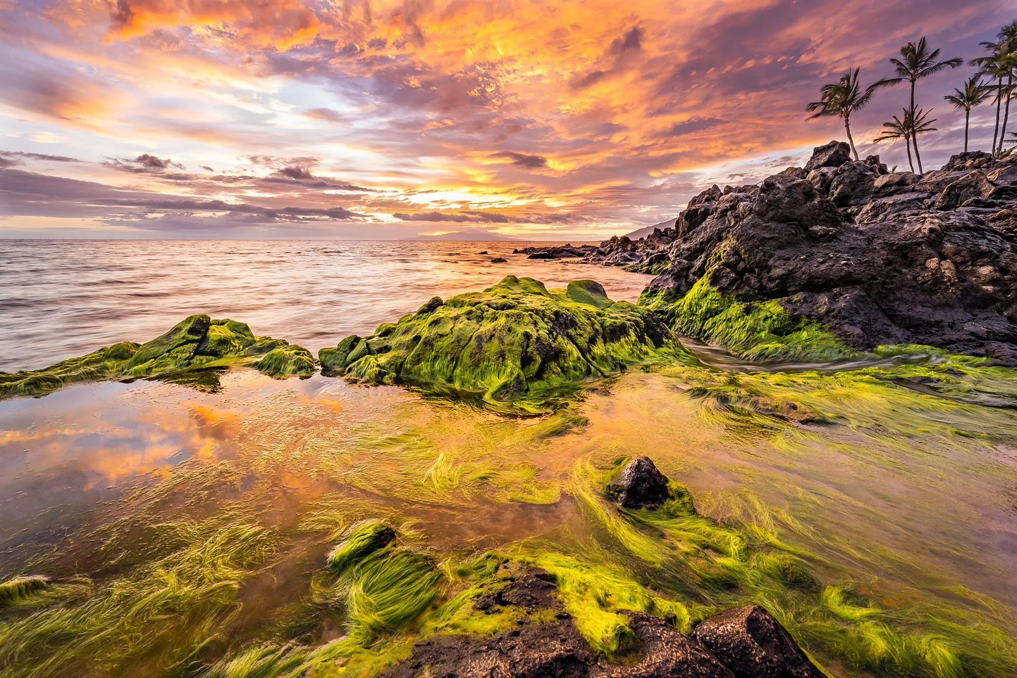 Hawaii+Sunset+Art+-+Cody+Roberts+Photography.webp