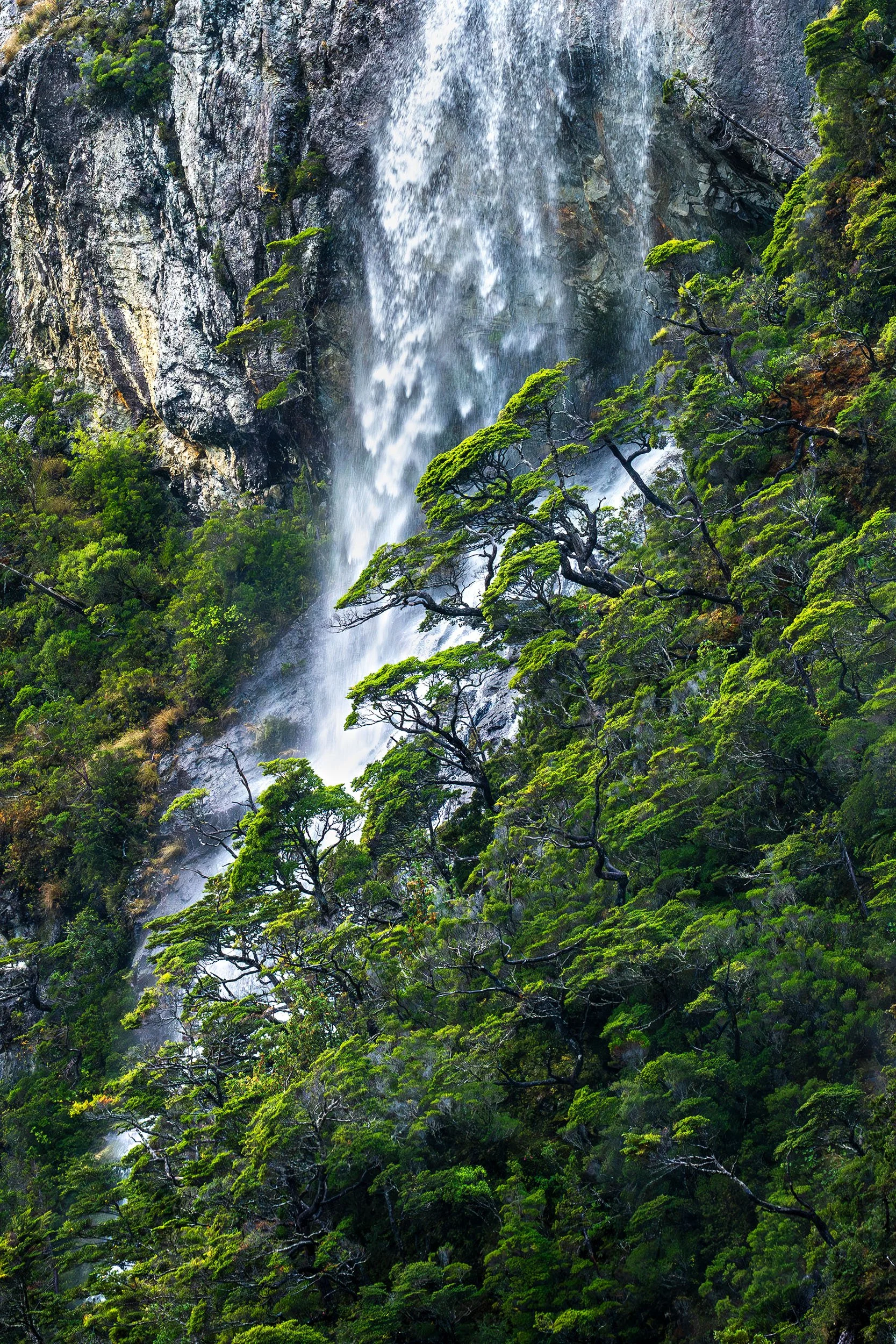 Invigorate - Immense Waterfall in the Patagonian Rainfores- Cody Roberts Fine Art.jpg